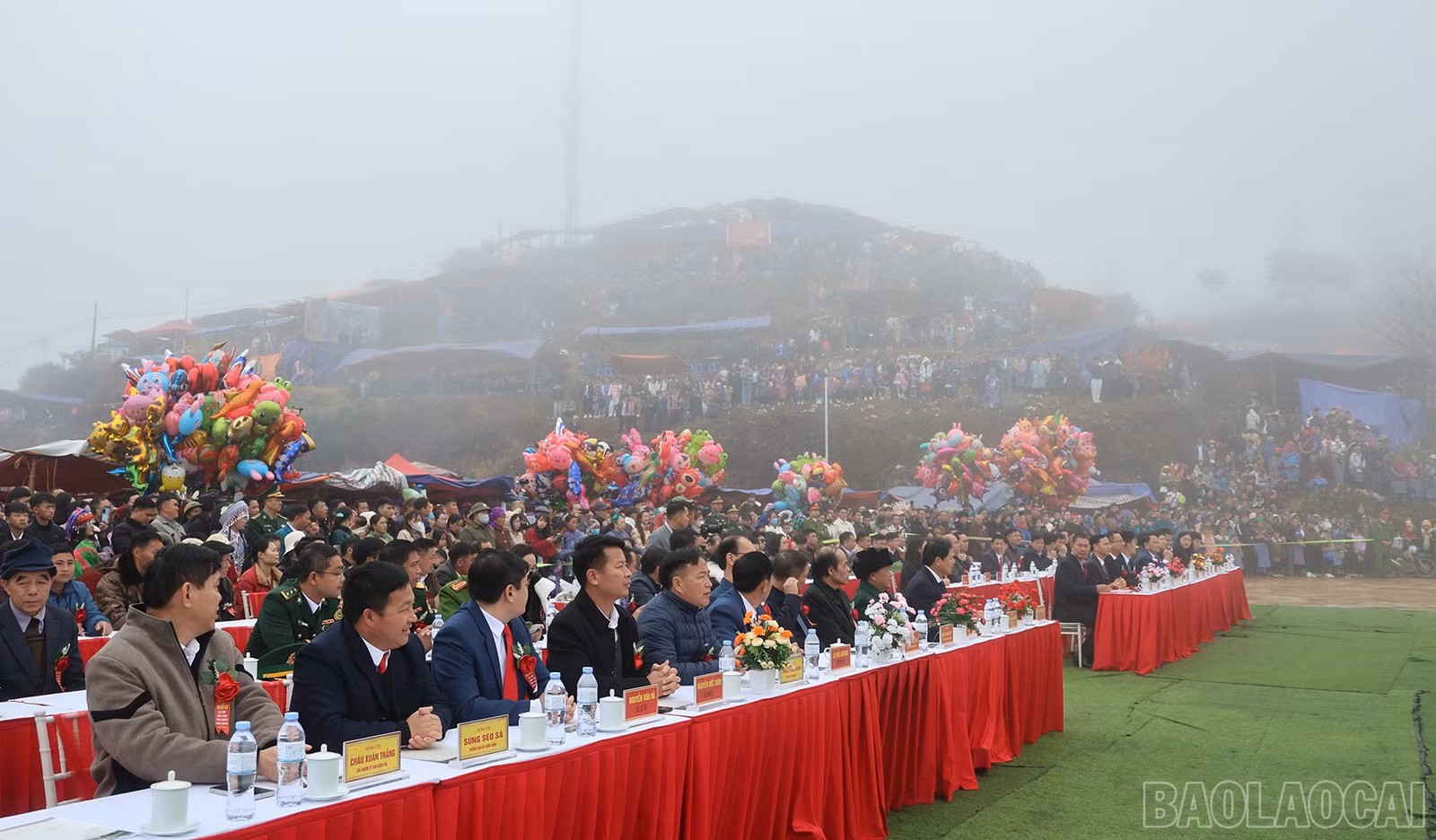 baolaocai-br_img-6961.jpg