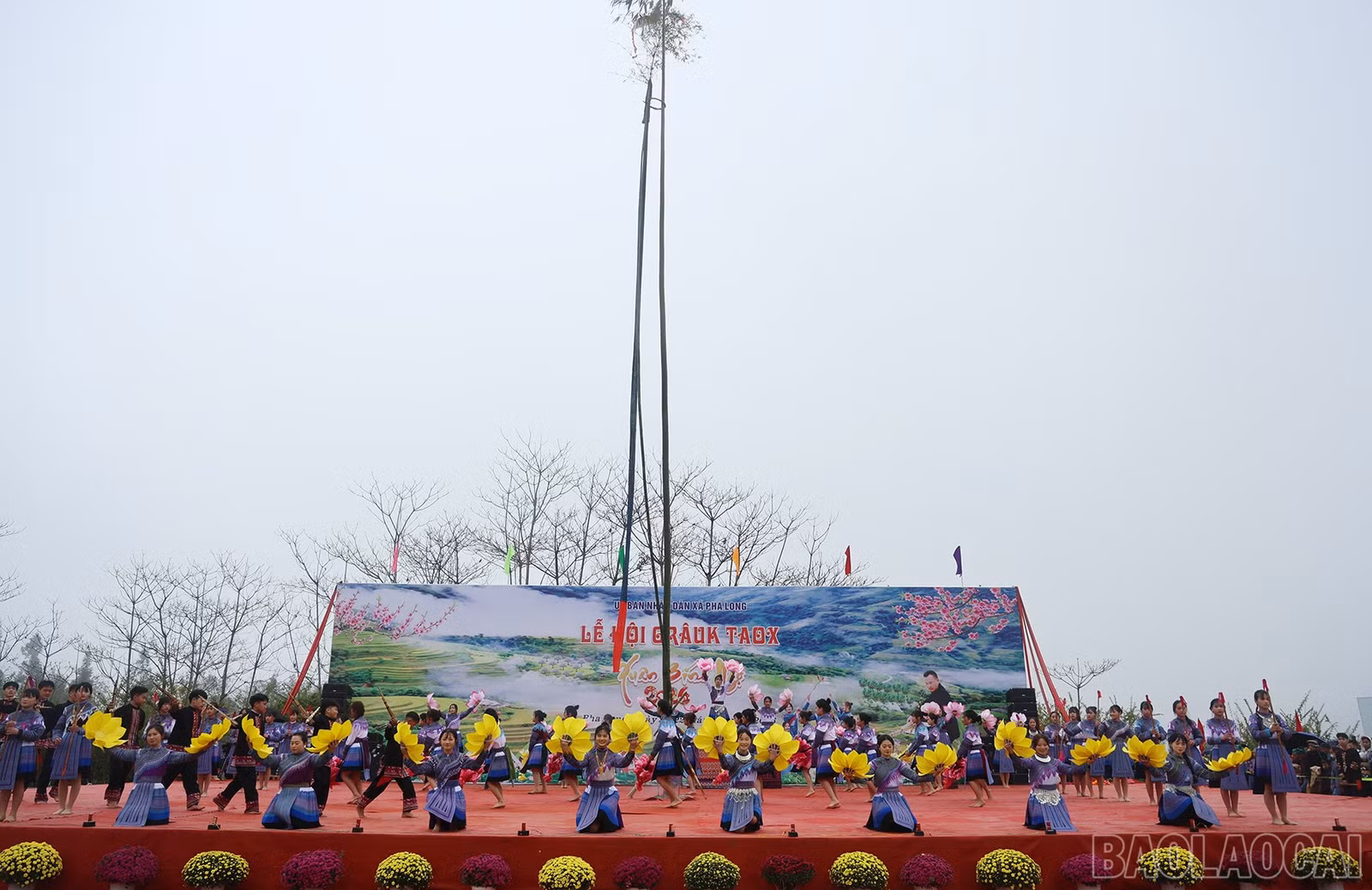 baolaocai-br_img-7097.jpg