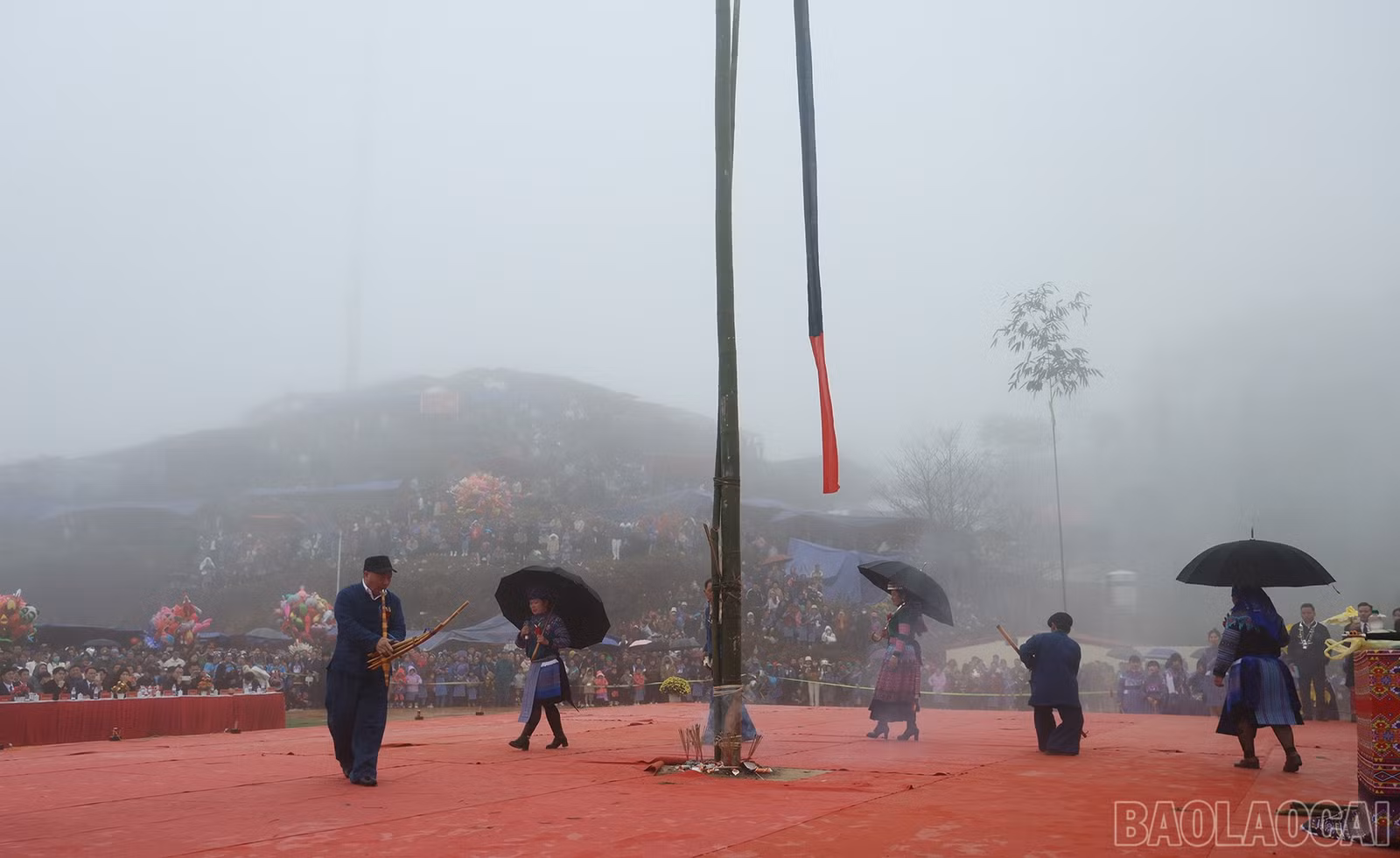 baolaocai-br_img-7054.jpg