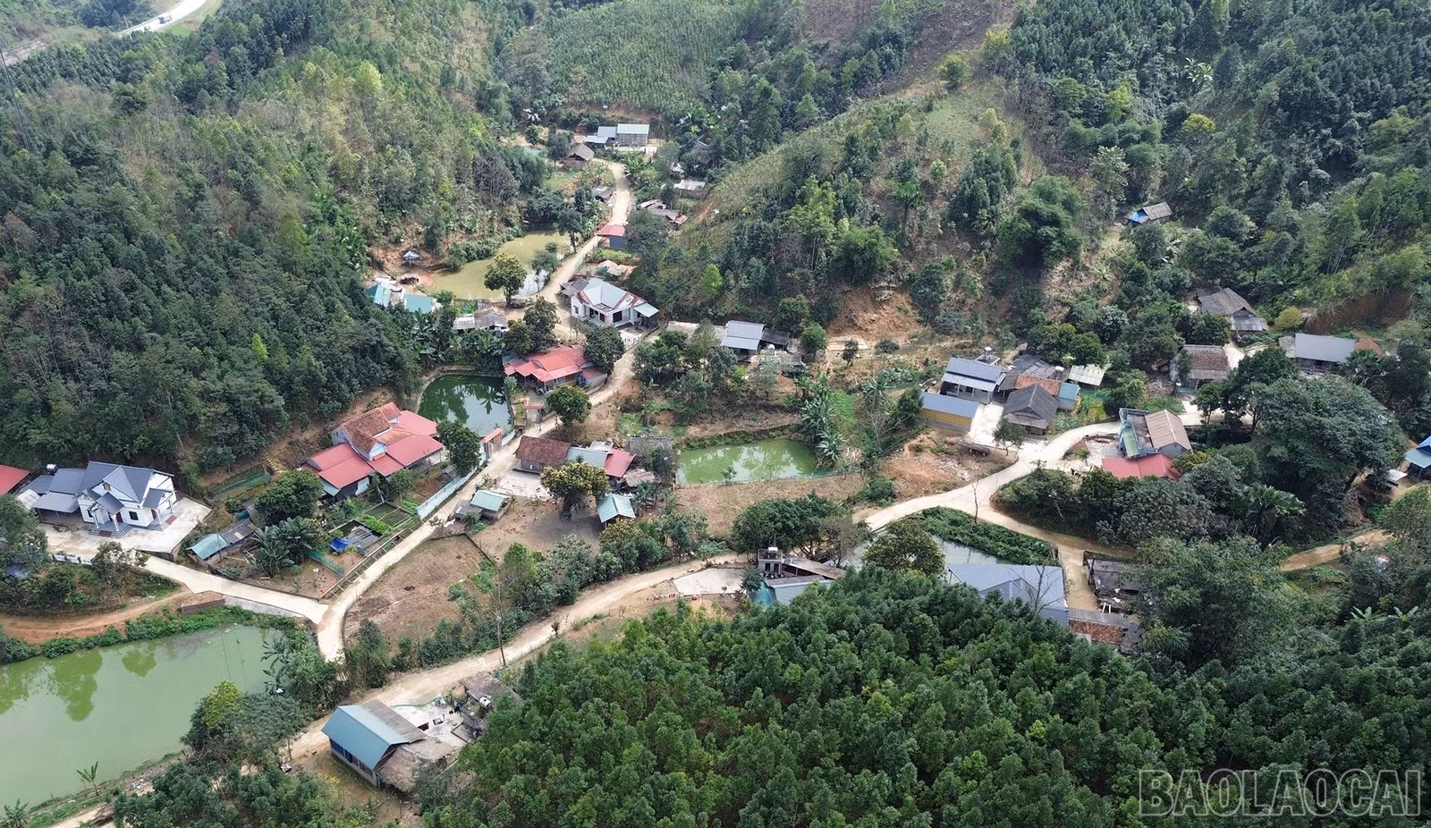 baolaocai-br_dji-0227.jpg