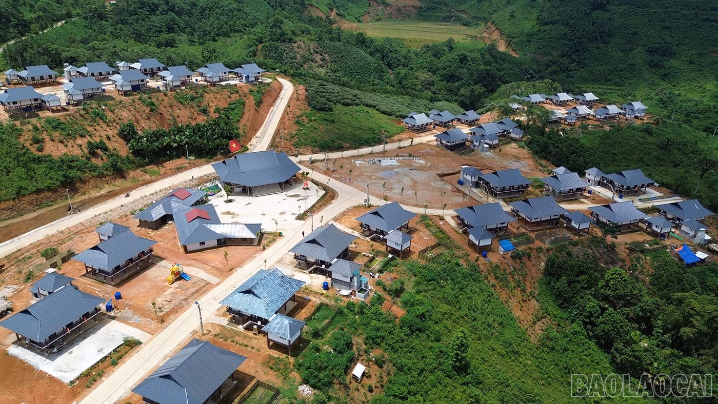 baolaocai-br_ln-5.jpg