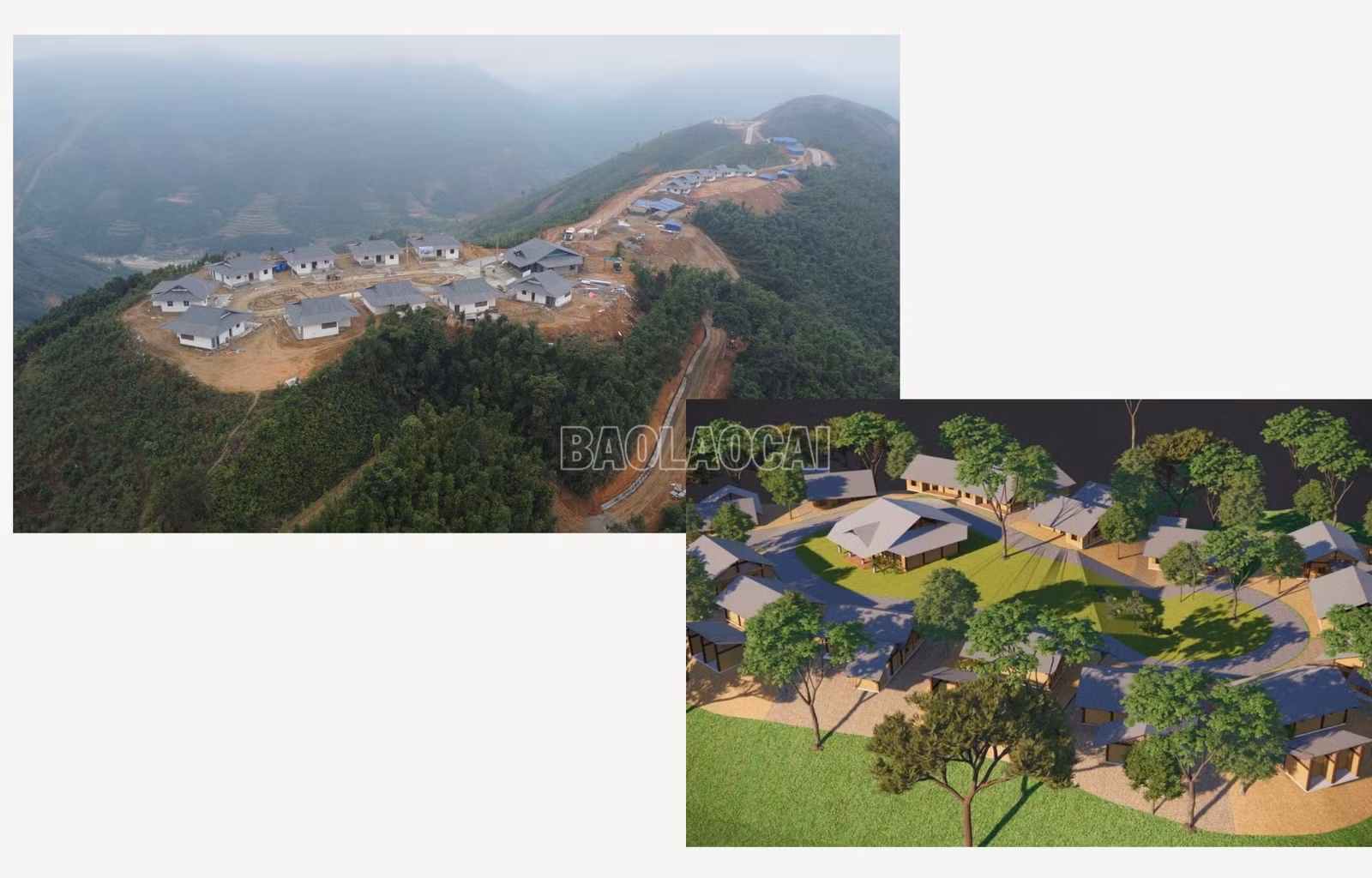 baolaocai-c_5.jpg