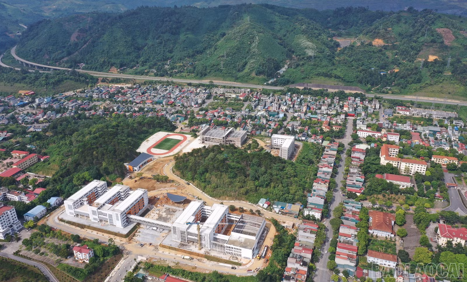 baolaocai-br_truongchuyen-2.jpg