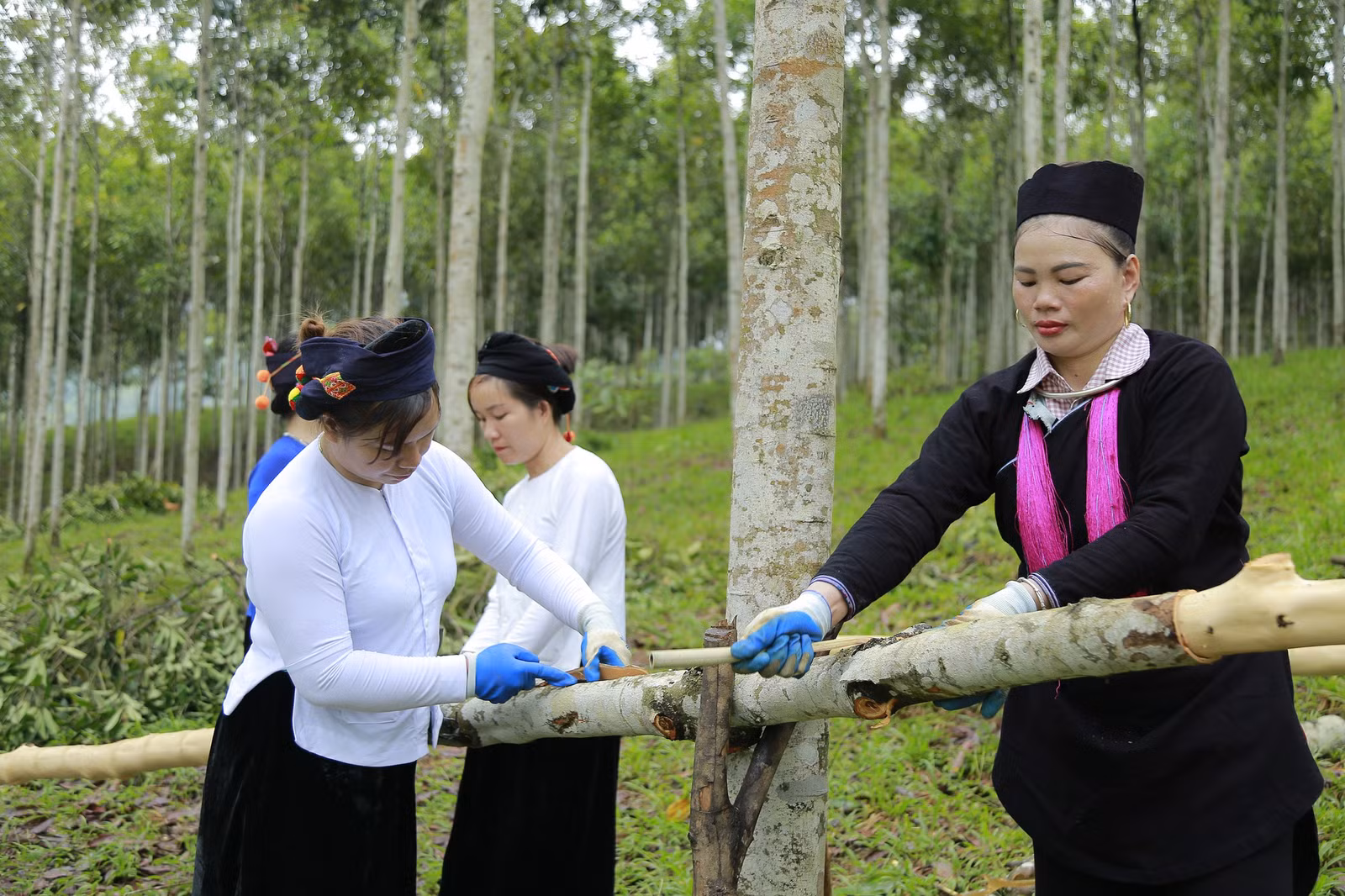 kinh-te-nong-nghiep-tren-dia-ban-huyen-chuyen-dich-tich-cuc-3.jpg