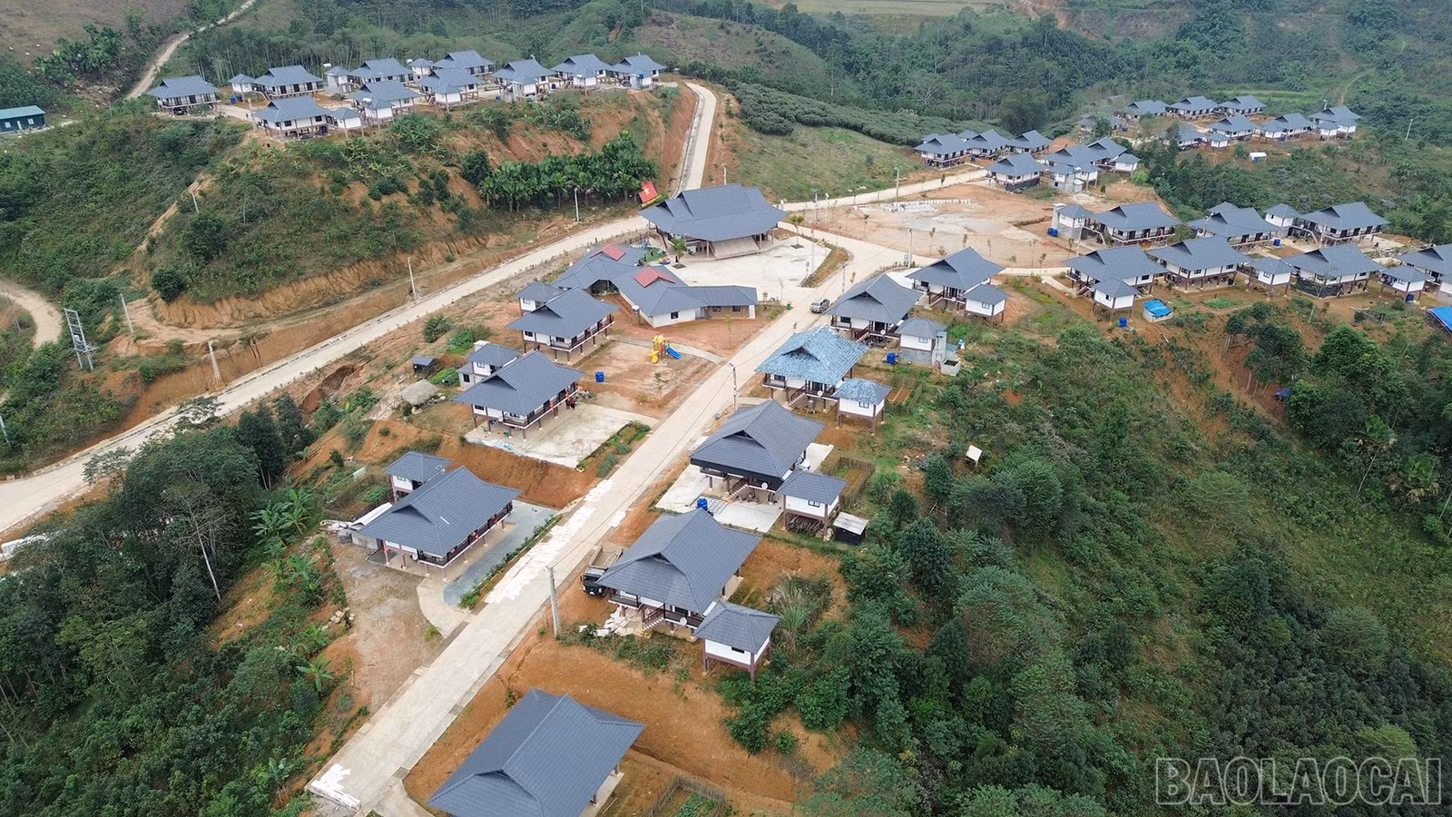 baolaocai-br_dji-0875.jpg