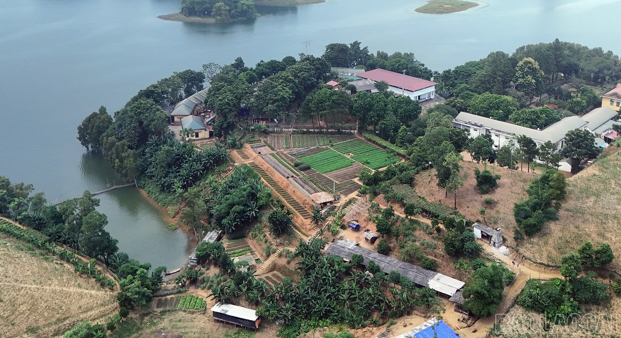 baolaocai-br_dji-20261002113819-0072-d.jpg