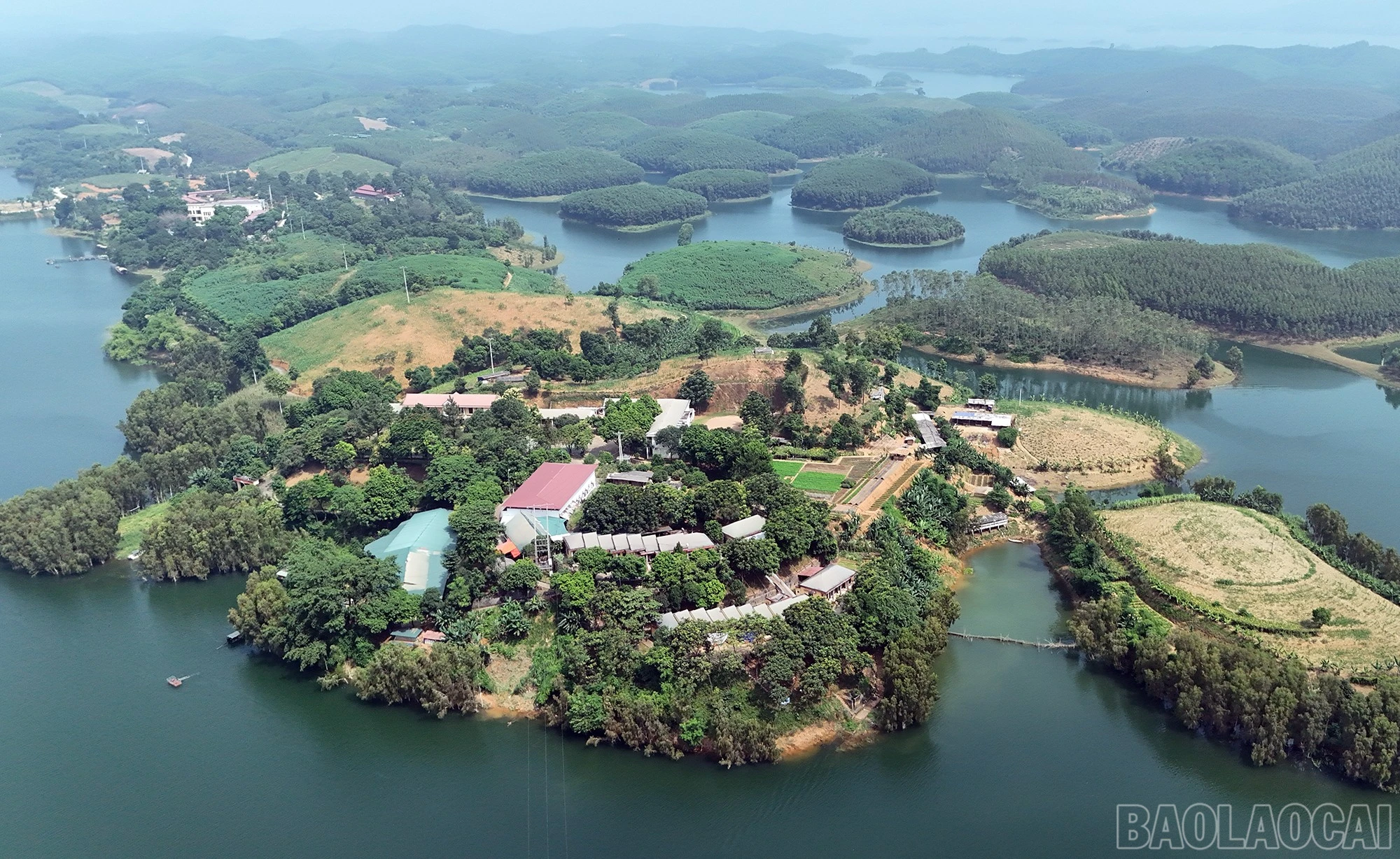baolaocai-br_dji-20261002113223-0048-d.jpg