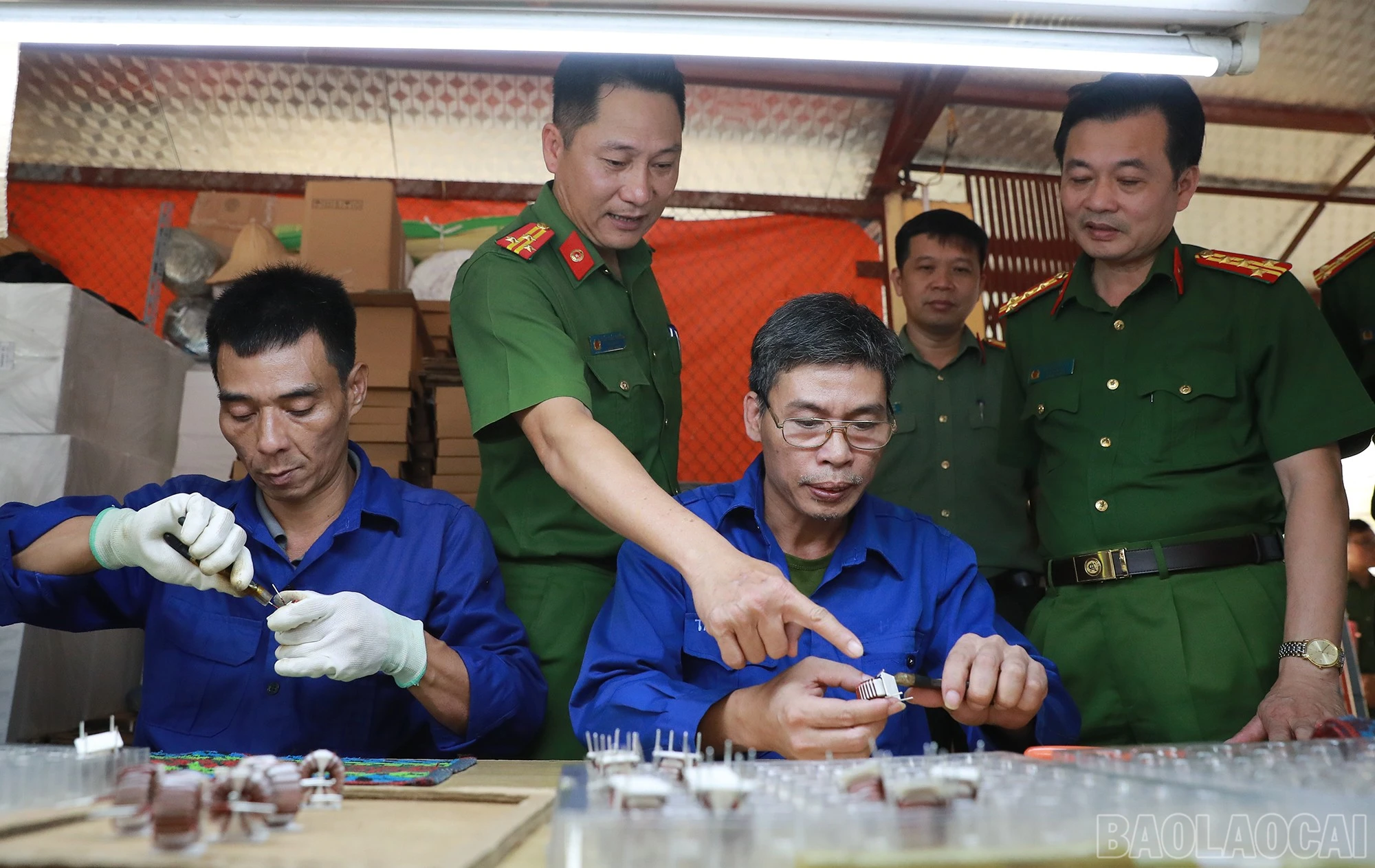 baolaocai-br_ax5i1804.jpg
