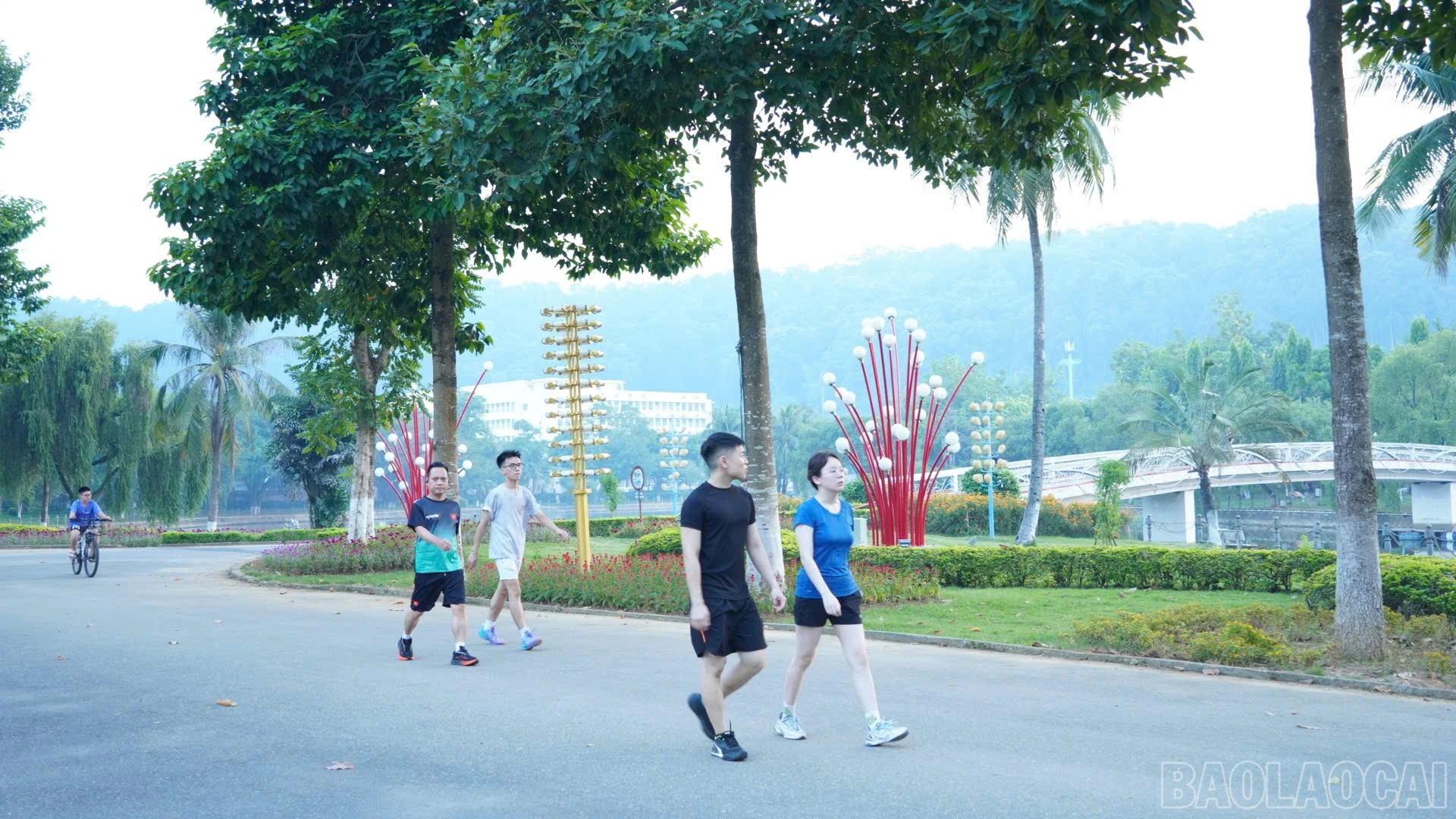 baolaocai-br_f0728f36-10d0-4c22-ad46-fdf68d14fc98.jpg