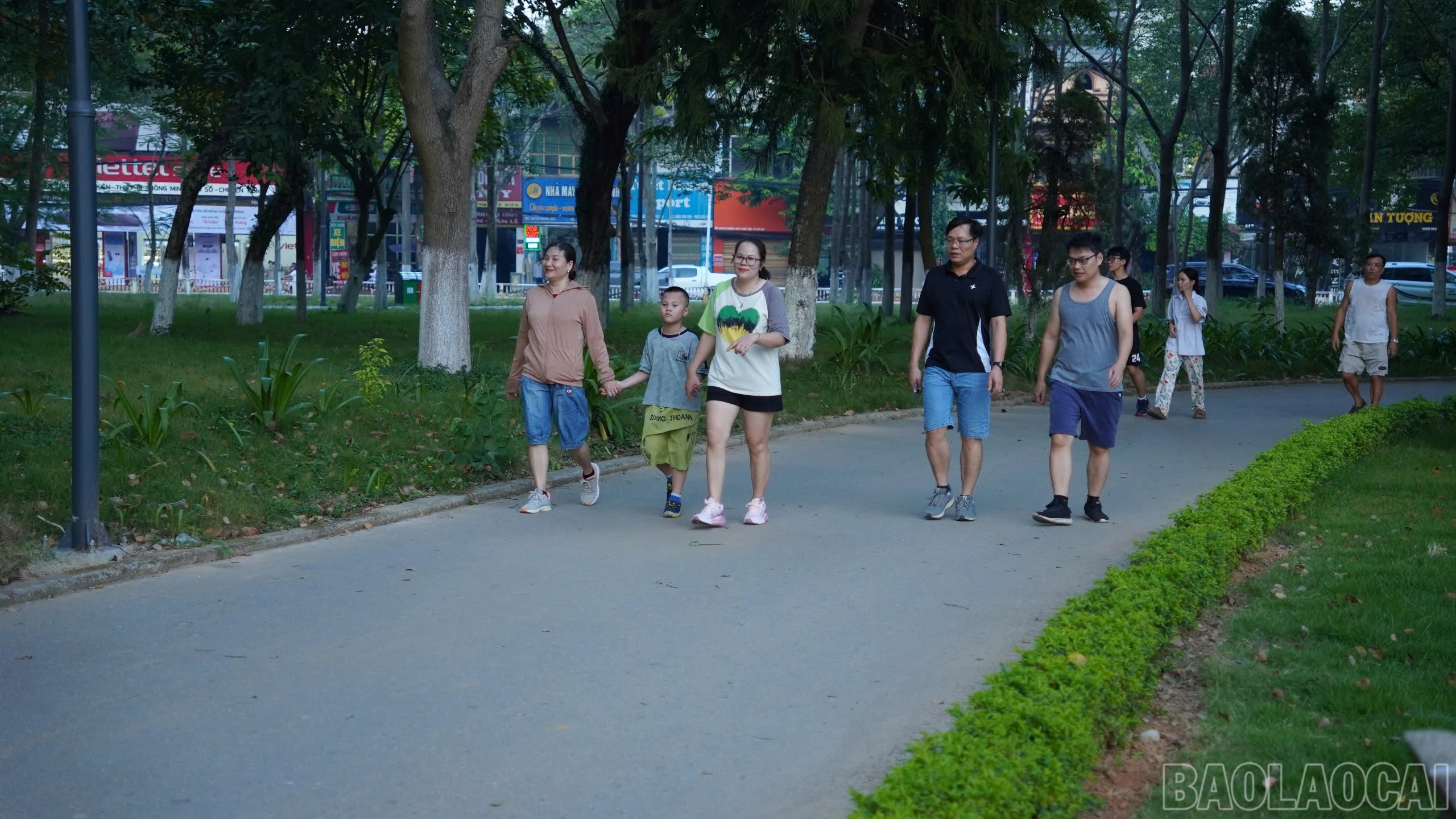 baolaocai-br_22a74e6c-7d3b-4bed-b556-6cefa9cf4338.jpg