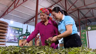 Tiếp sức cho phụ nữ làm chủ hợp tác xã 