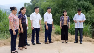 HĐND tỉnh Lào Cai: 83,3% kiến nghị sau giám sát đã được xử lý