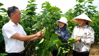 Học Bác từ những việc làm cụ thể