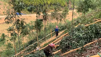 Phấn đấu hoàn thành công tác giải phóng mặt bằng và bàn giao toàn tuyến trước ngày 30/4/2025