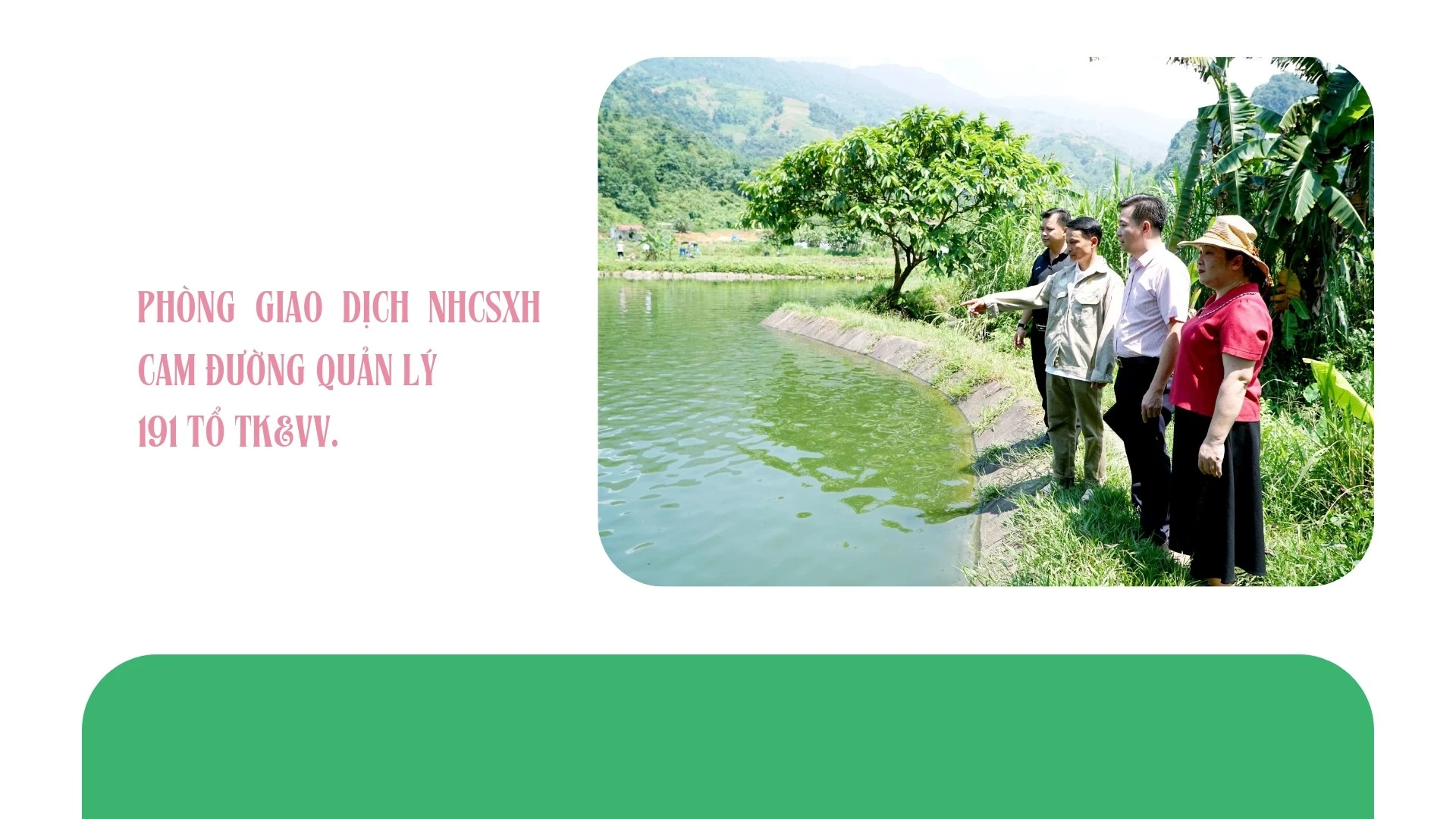 bao-ve-moi-truong-20250819-210237-0000.jpg