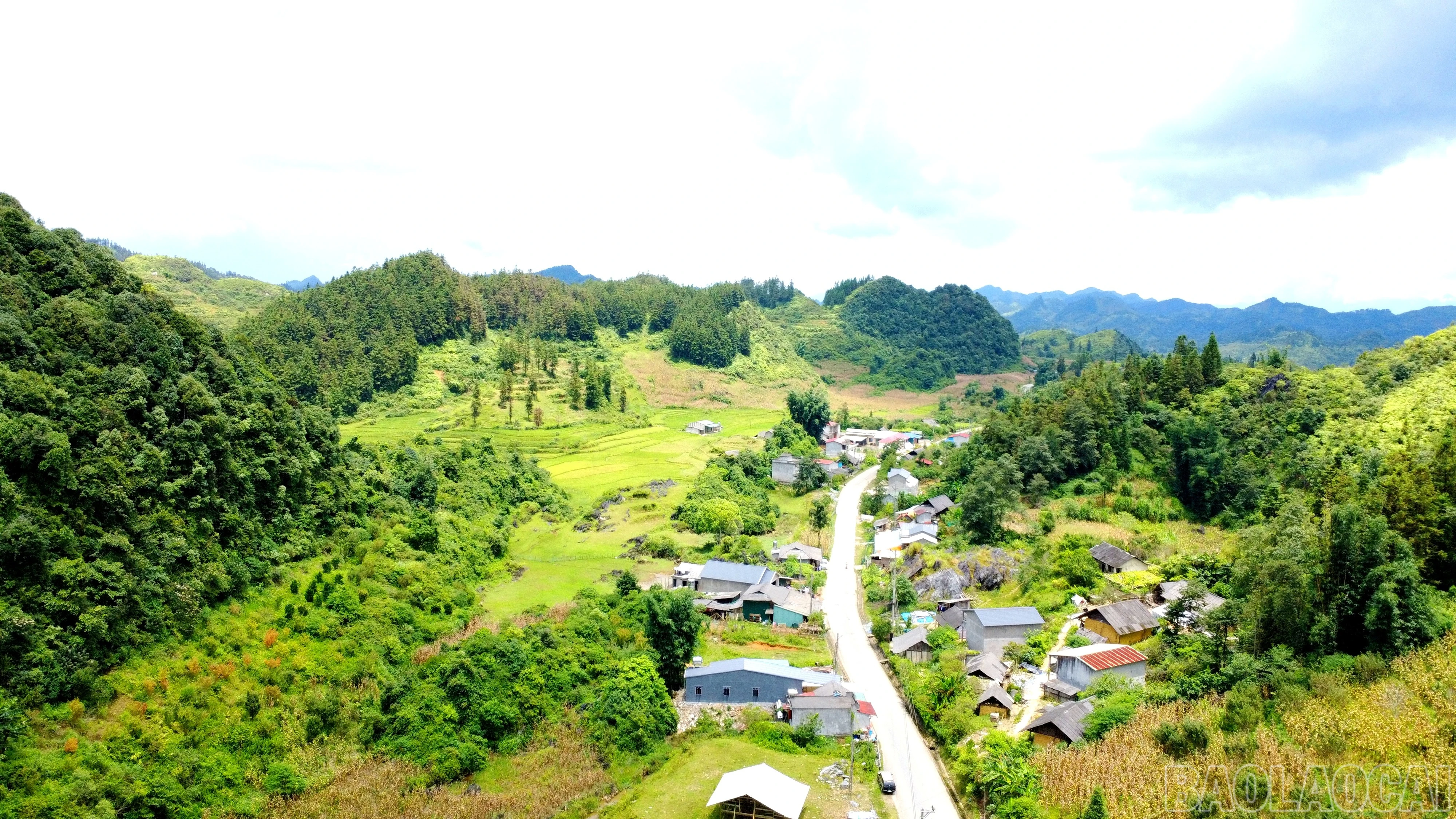 baolaocai-br_img-20250818-212713.jpg