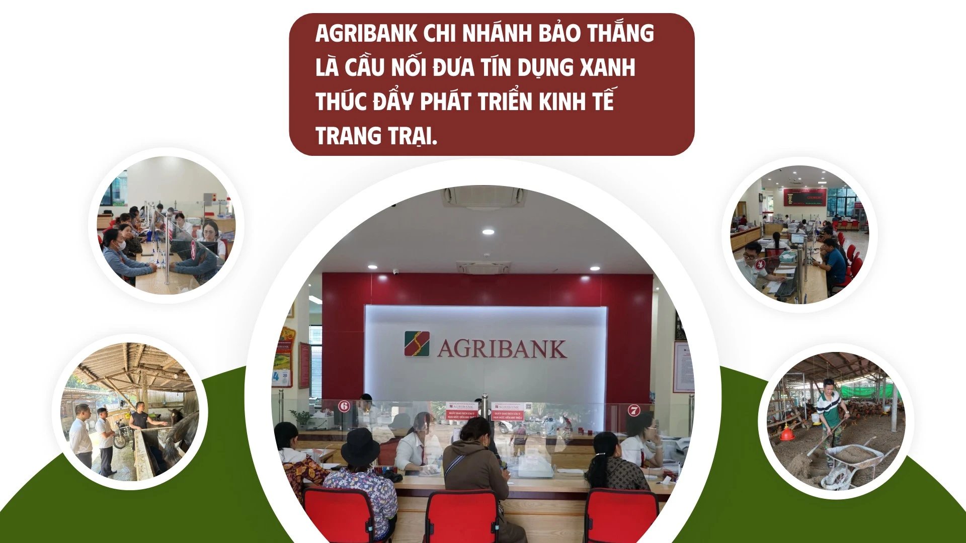 rin-dung-xanh-5.jpg