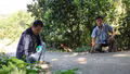 Bảo Thắng thành lập 4 tổ thống kê, kiểm đếm phục vụ giải phóng mặt bằng dự án đường sắt