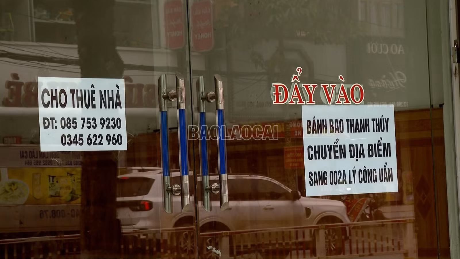 baolaocai-c_t5.jpg