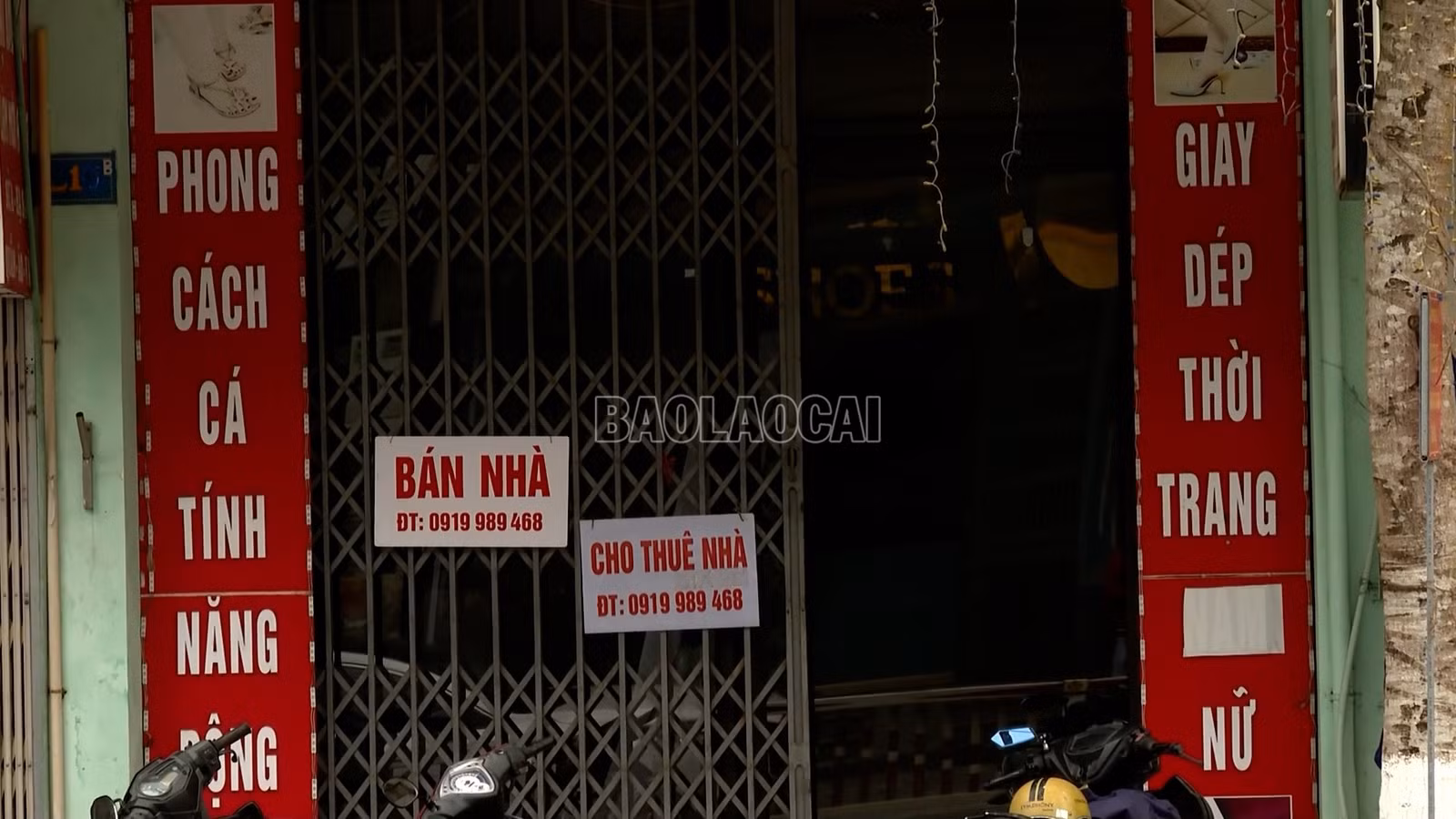 baolaocai-c_t4.jpg
