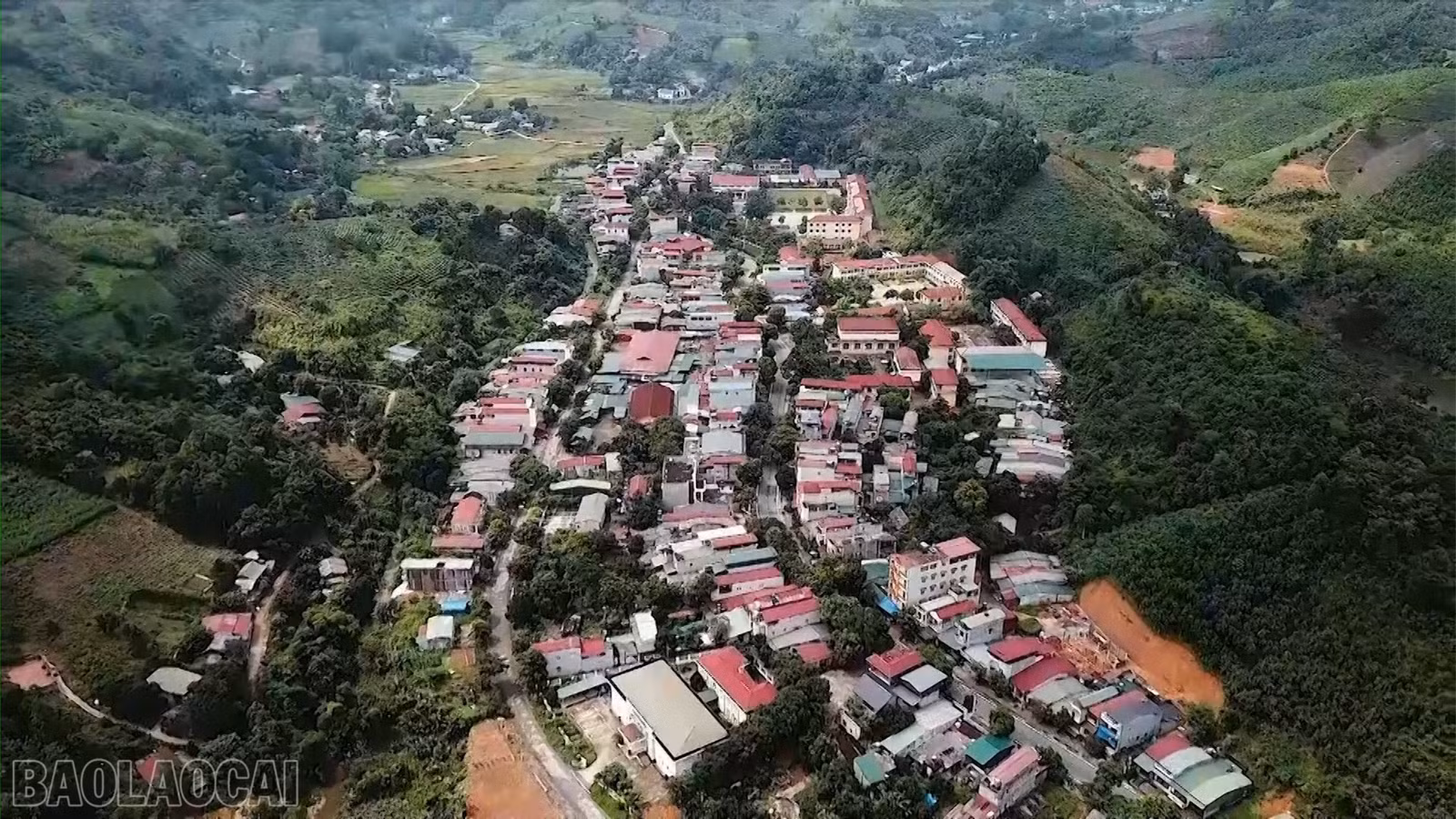 baolaocai-bl_video-dau00-08-54-19still004-6580.jpg