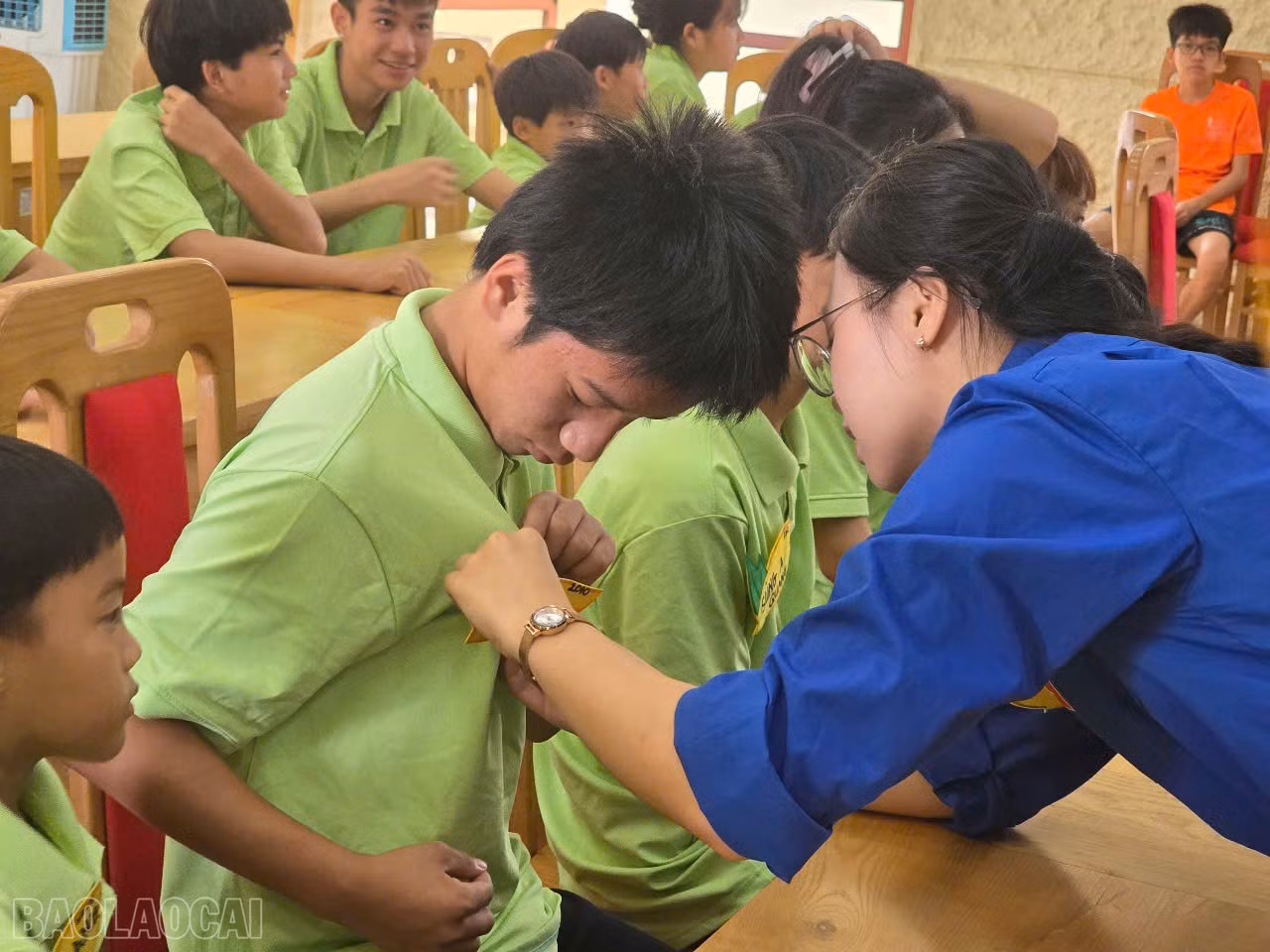 baolaocai-bl_f0c7c5056e1adb44820b.jpg