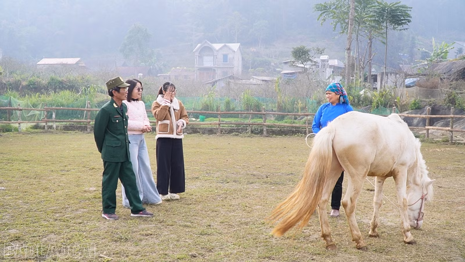 baolaocai-bl_c316500-01-32-58still005-8889.jpg