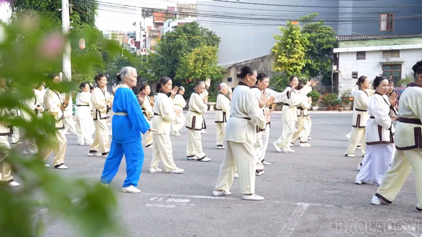 baolaocai-br_c1-3130.jpg