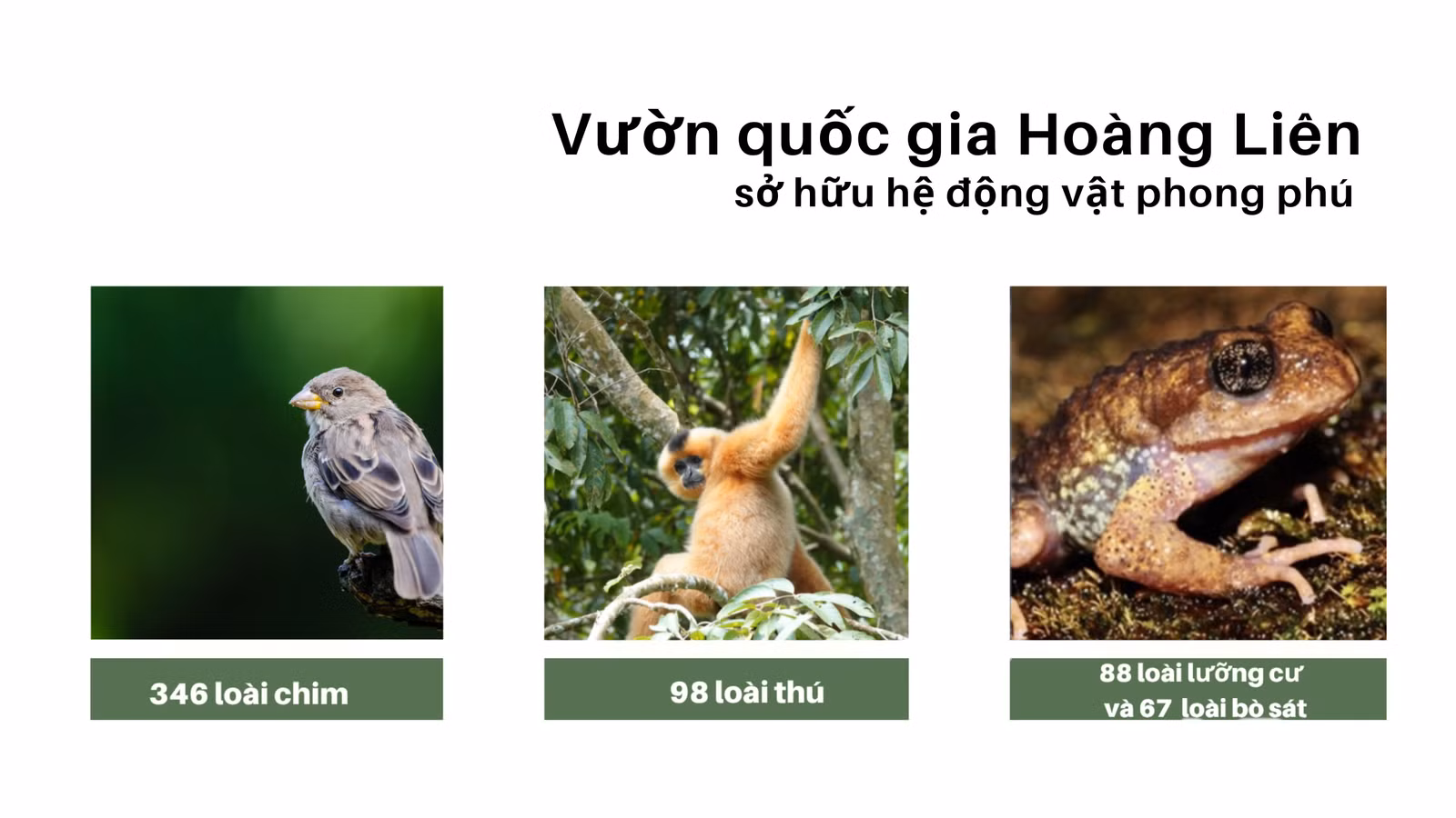vgg.png