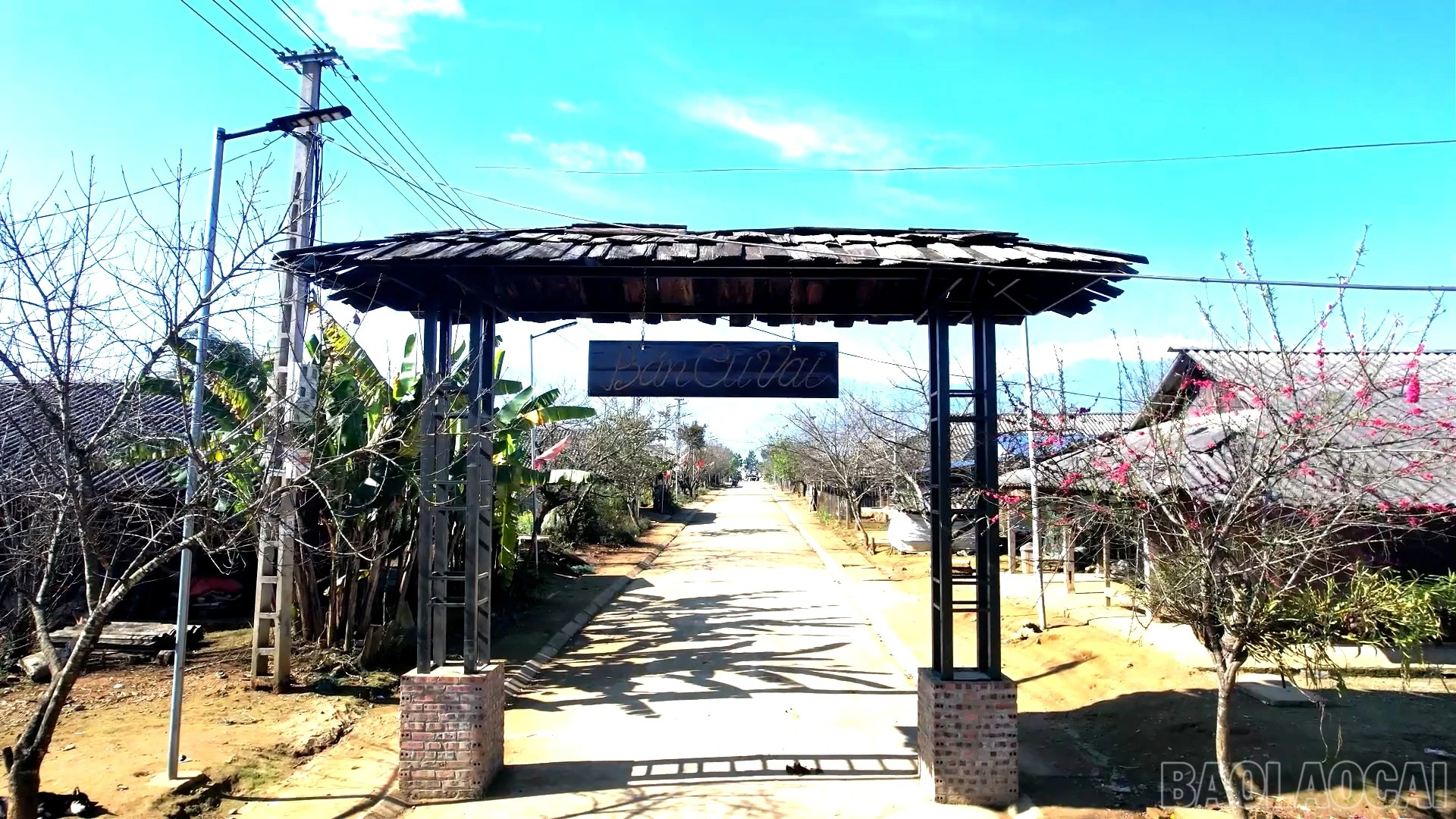 baolaocai-br_dung-hinh00-07-39-24still209.jpg