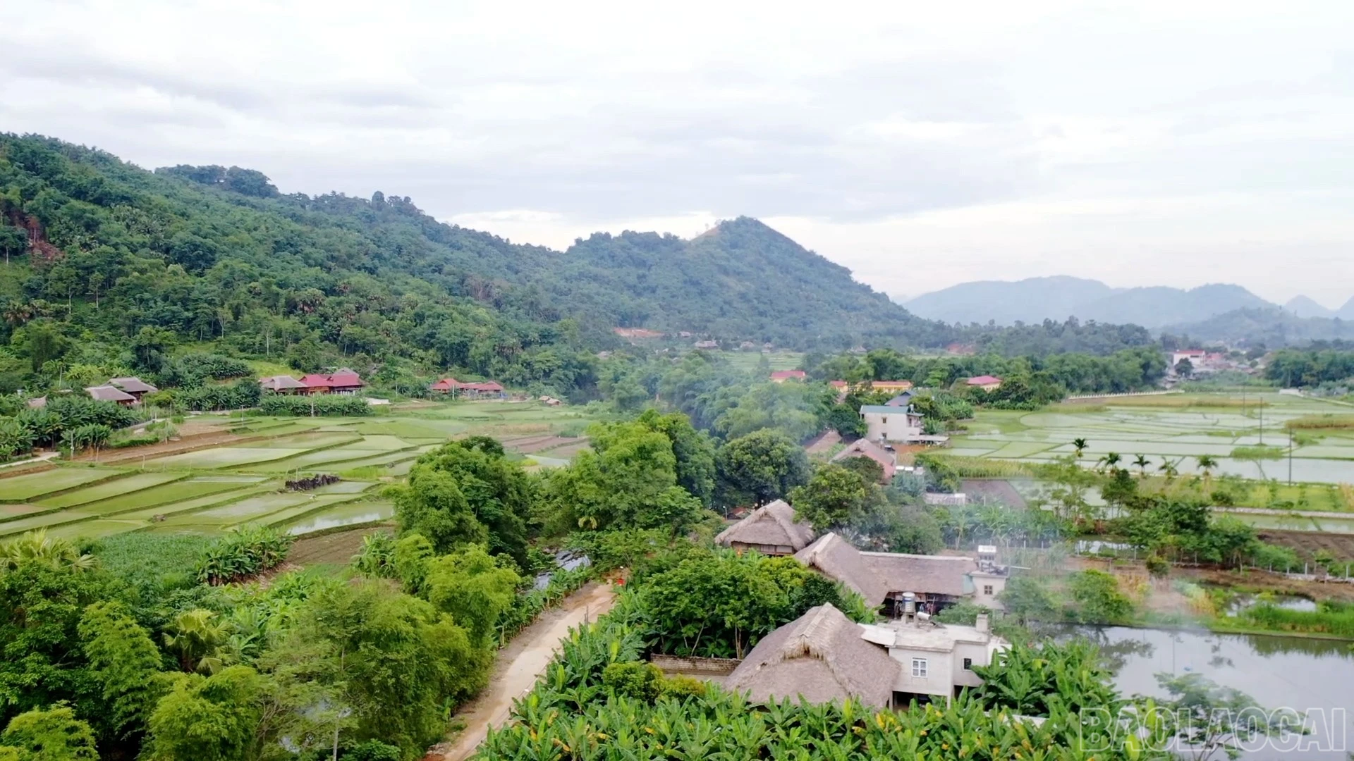 baolaocai-br_dung-hinh00-12-43-06still213.jpg