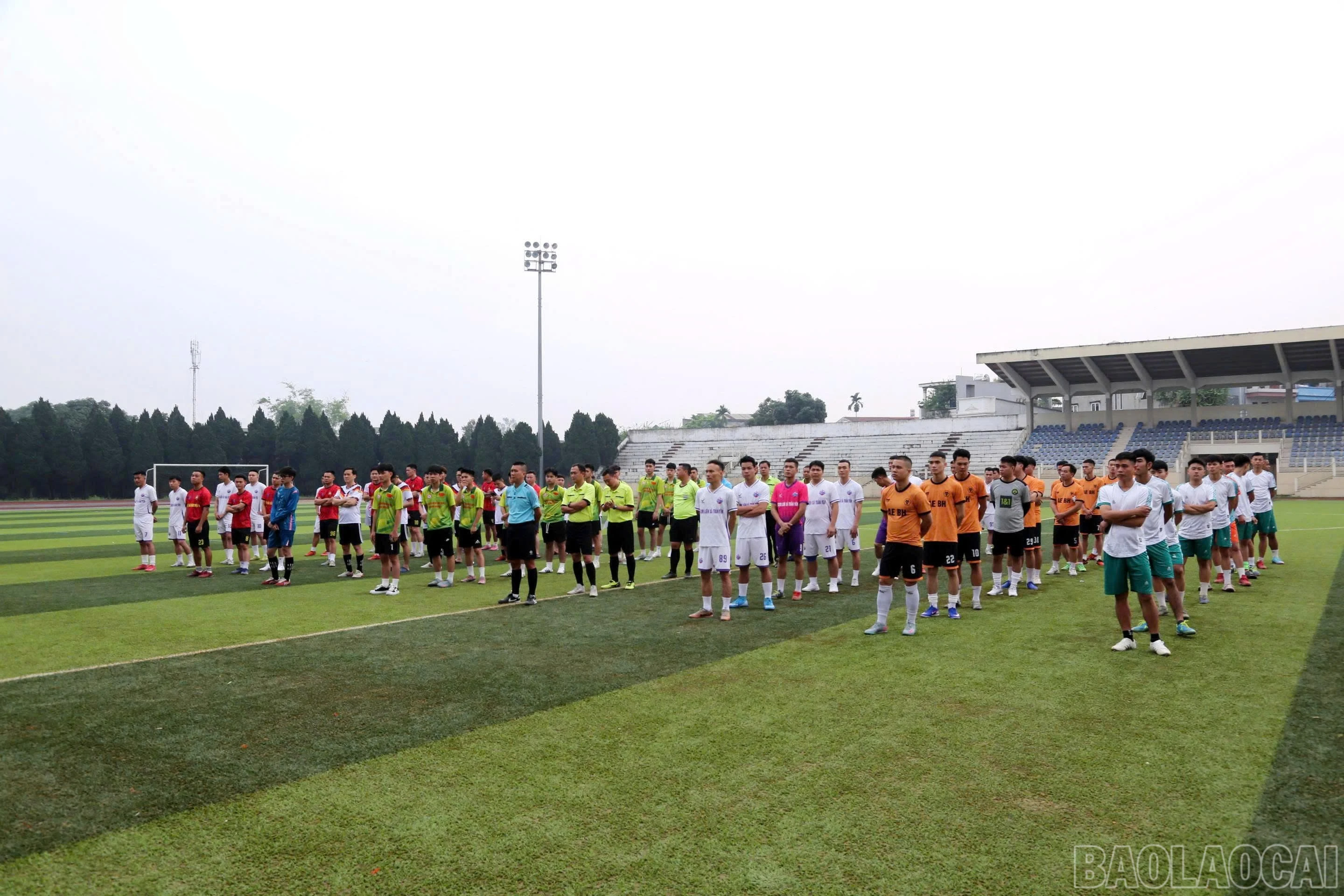 baolaocai-br_z7734090943680-4c32c56c02809916f1b6936cdd28127e.jpg