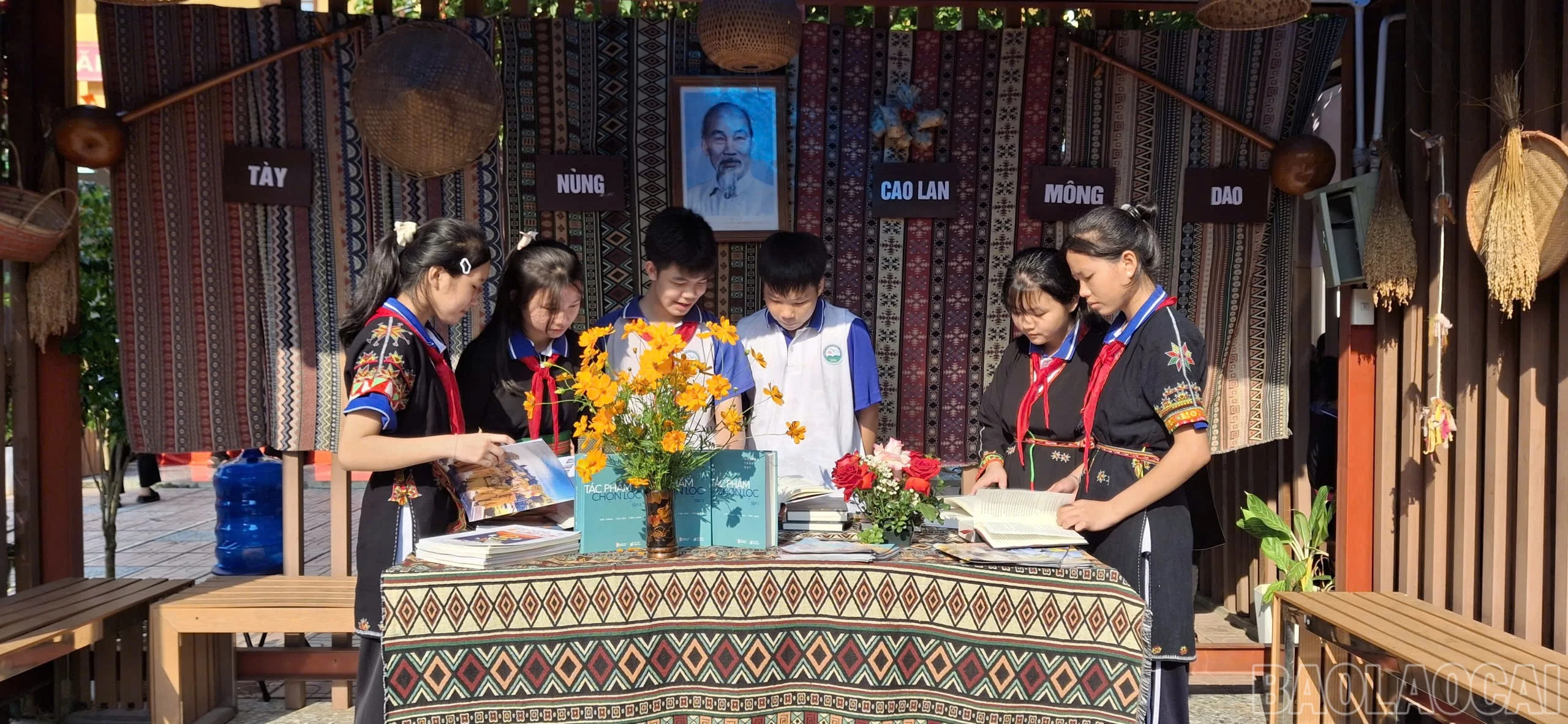 baolaocai-br_1790051105329-2003070788616324028-3321799670715605865-59e736ef3c76e26c349ae4dfaec8f23d.jpg