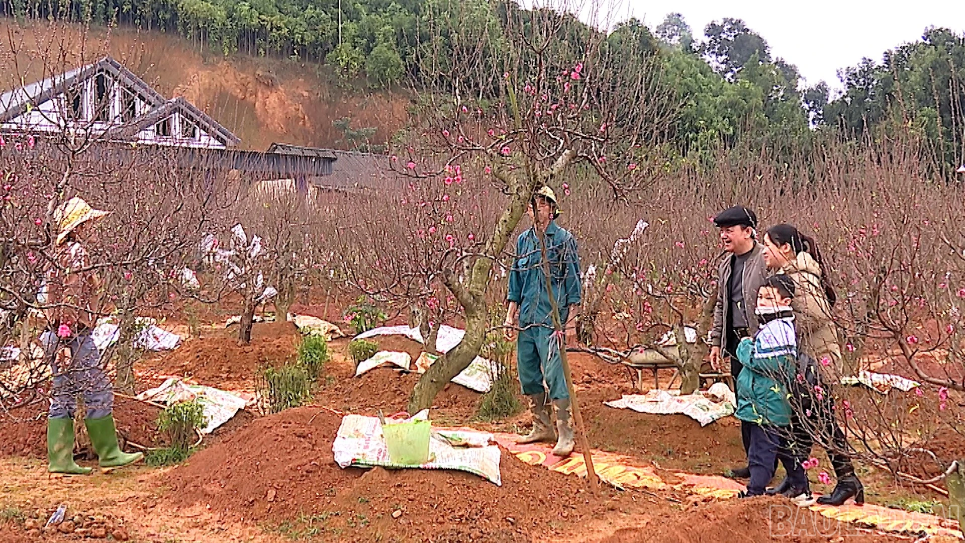 baolaocai-br_cuoc-song-xanh00-31-18-21still031.jpg