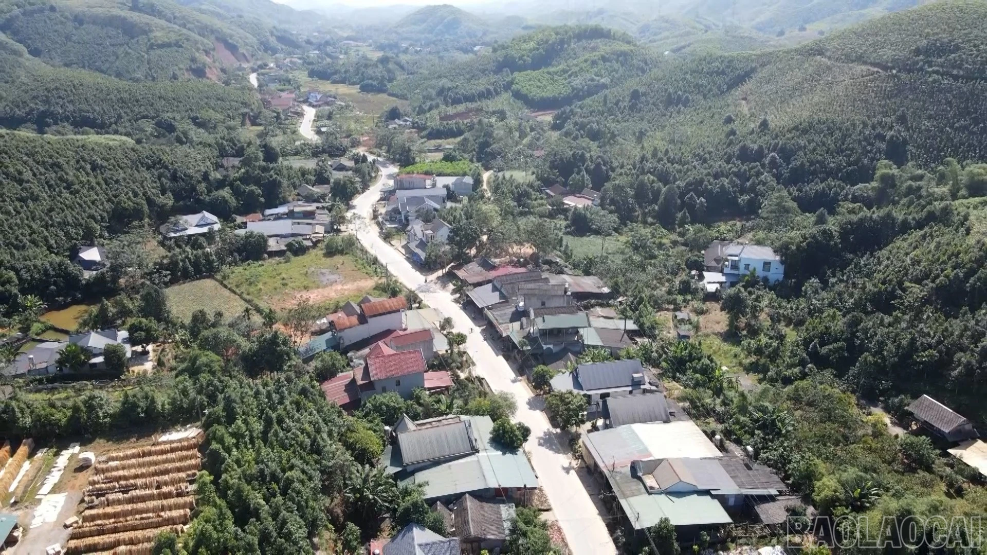 baolaocai-br_dung-hinh00-06-02-19still372.jpg