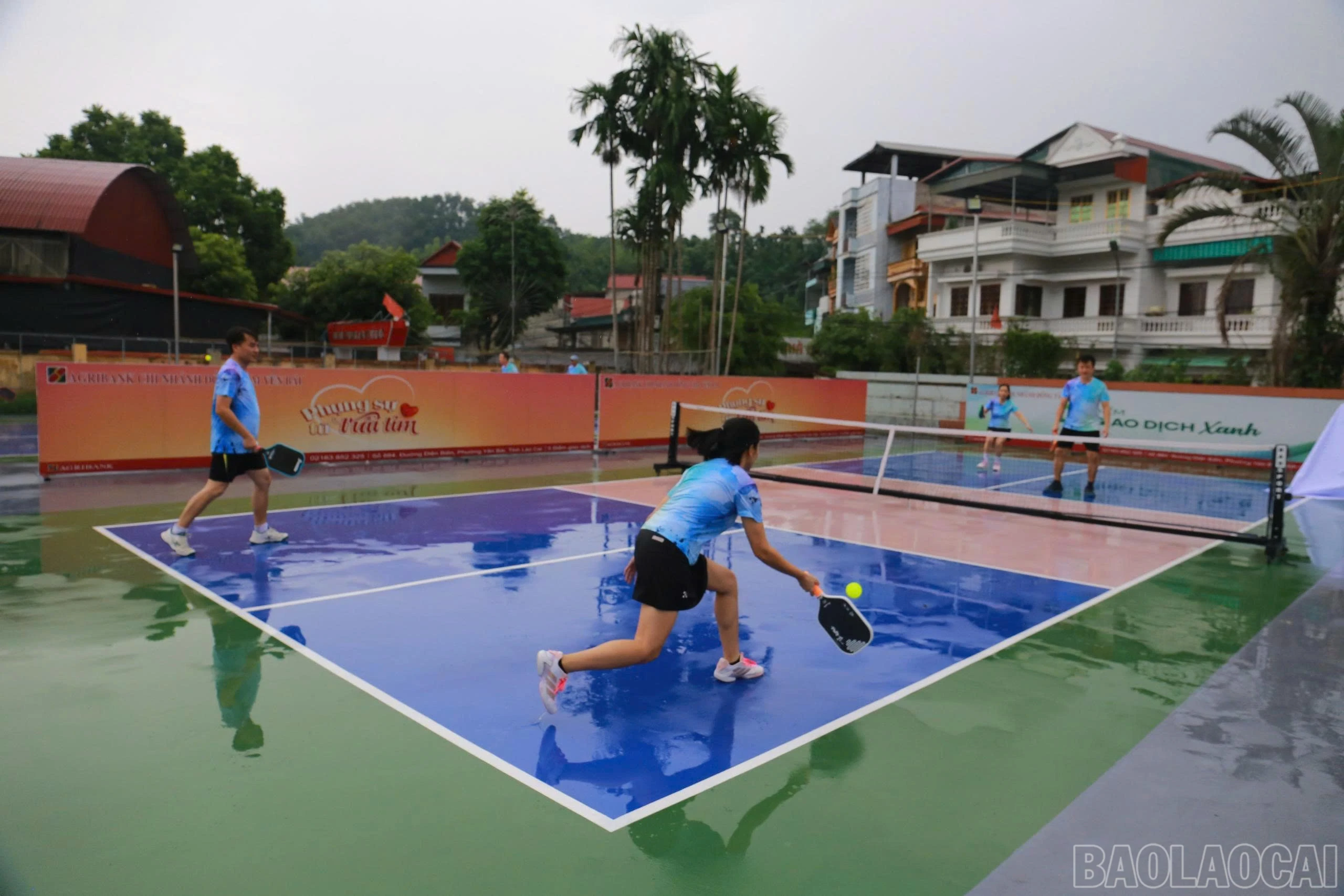 baolaocai-br_1787312954992-4977193501950804834-4977193501950804834-9da1bc3a6d5d5b2ff8d8aee6def19ee7.jpg