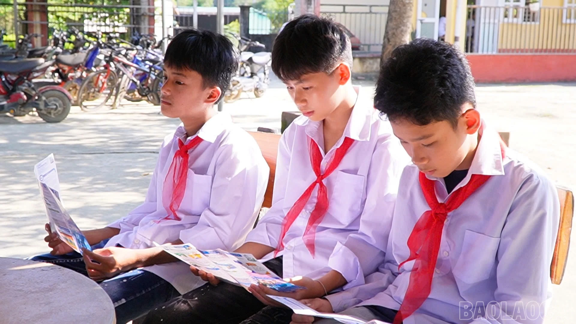 baolaocai-br_1790788465141-6061147100035685741-6061147100035685741-6010ae77b698e381d262edc982f01096.jpg