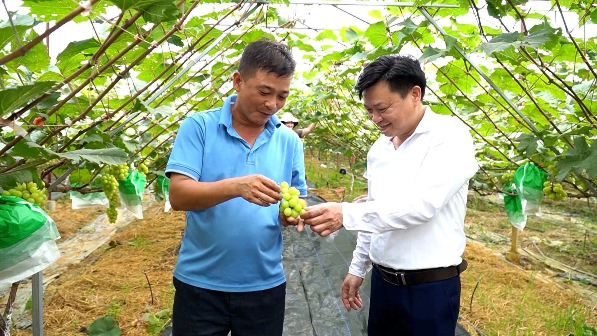 dung-hinh00-00-37-15still384.jpg