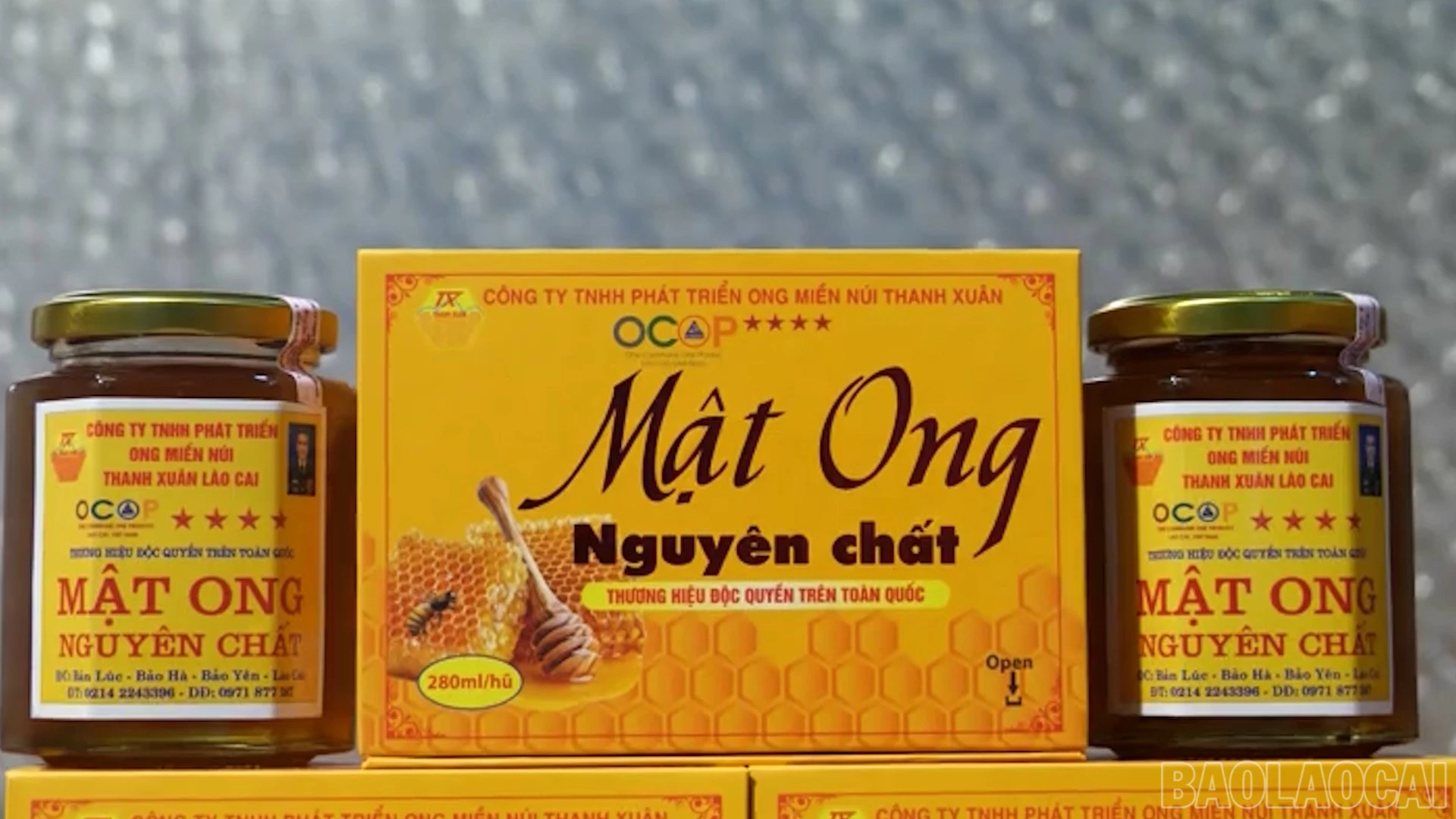baolaocai-br_cuoc-song-xanh00-29-13-04still020.jpg