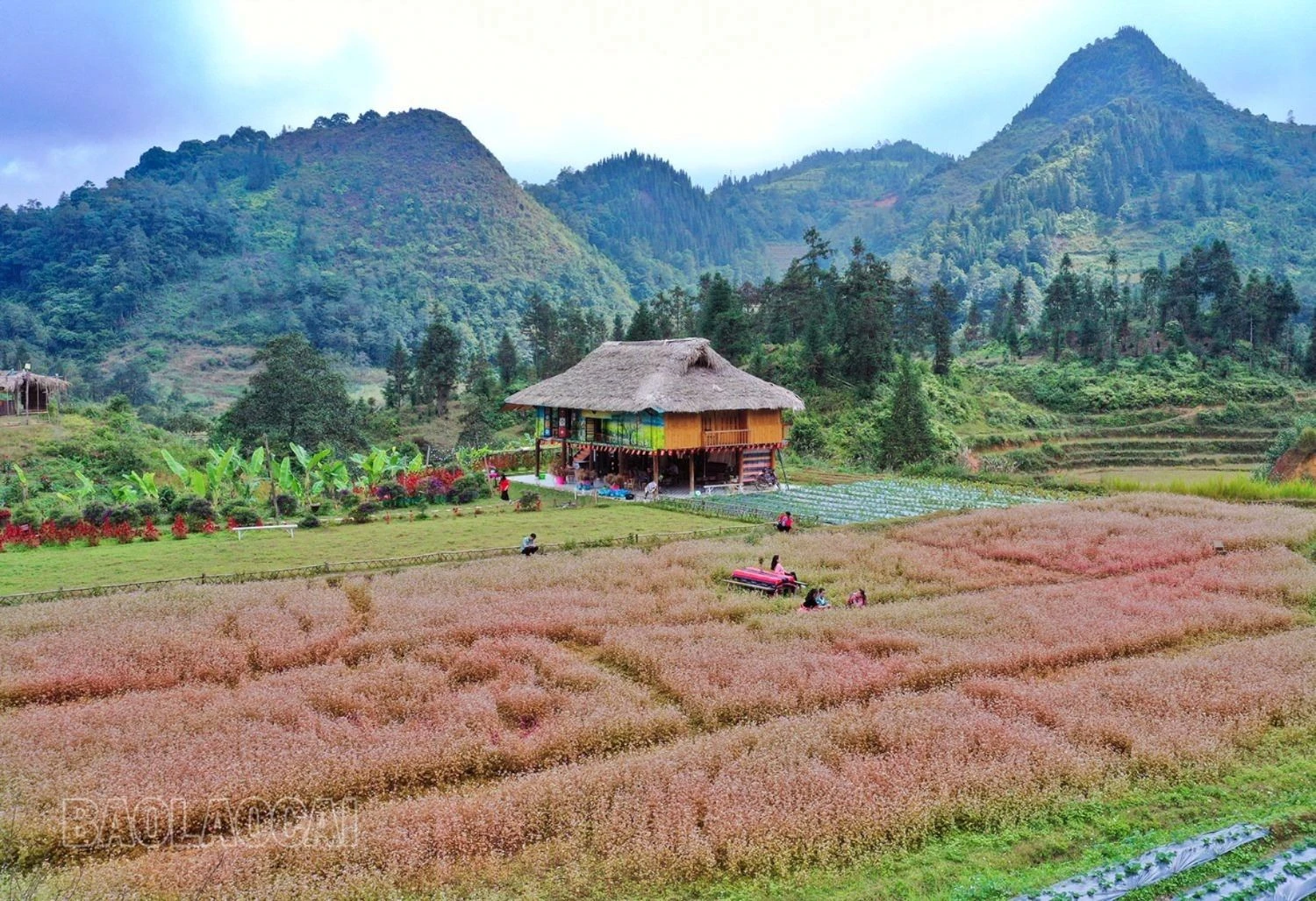 tgm7.jpg