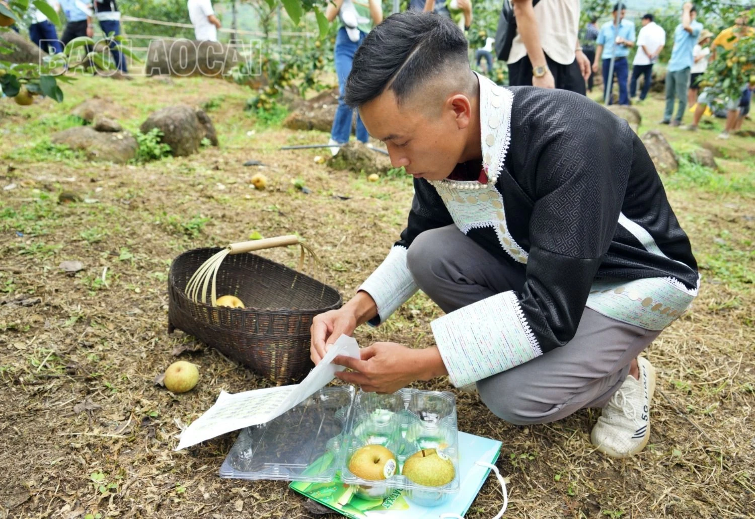 nampung3.jpg