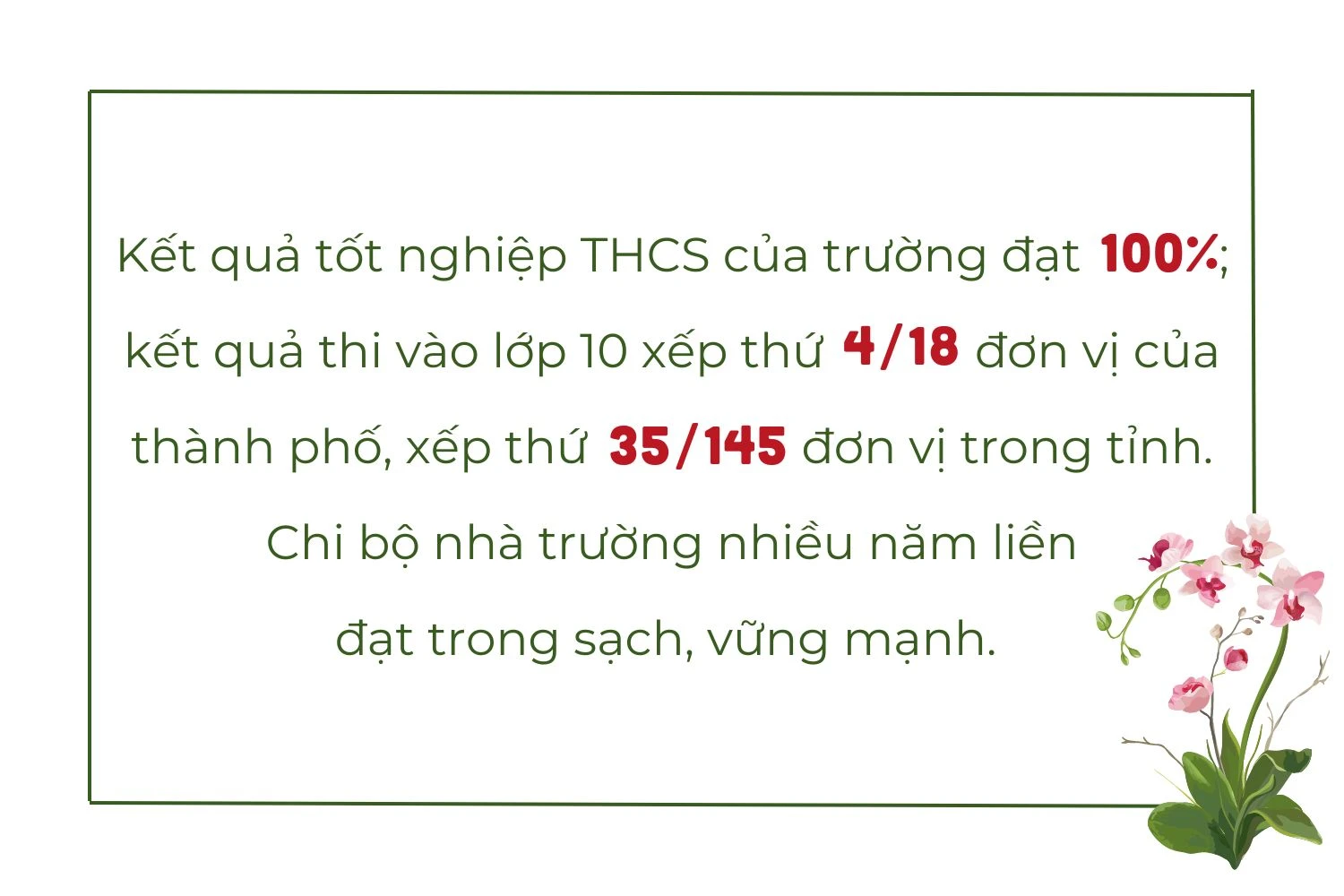 NVS5.jpg