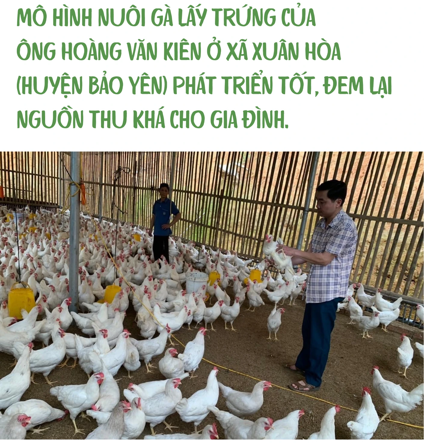 úp (3).png