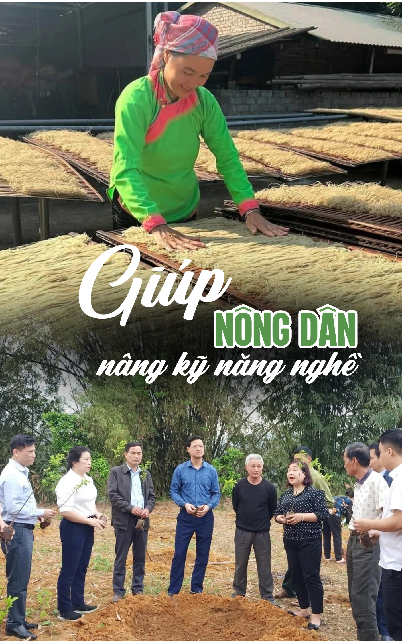úp (2).png