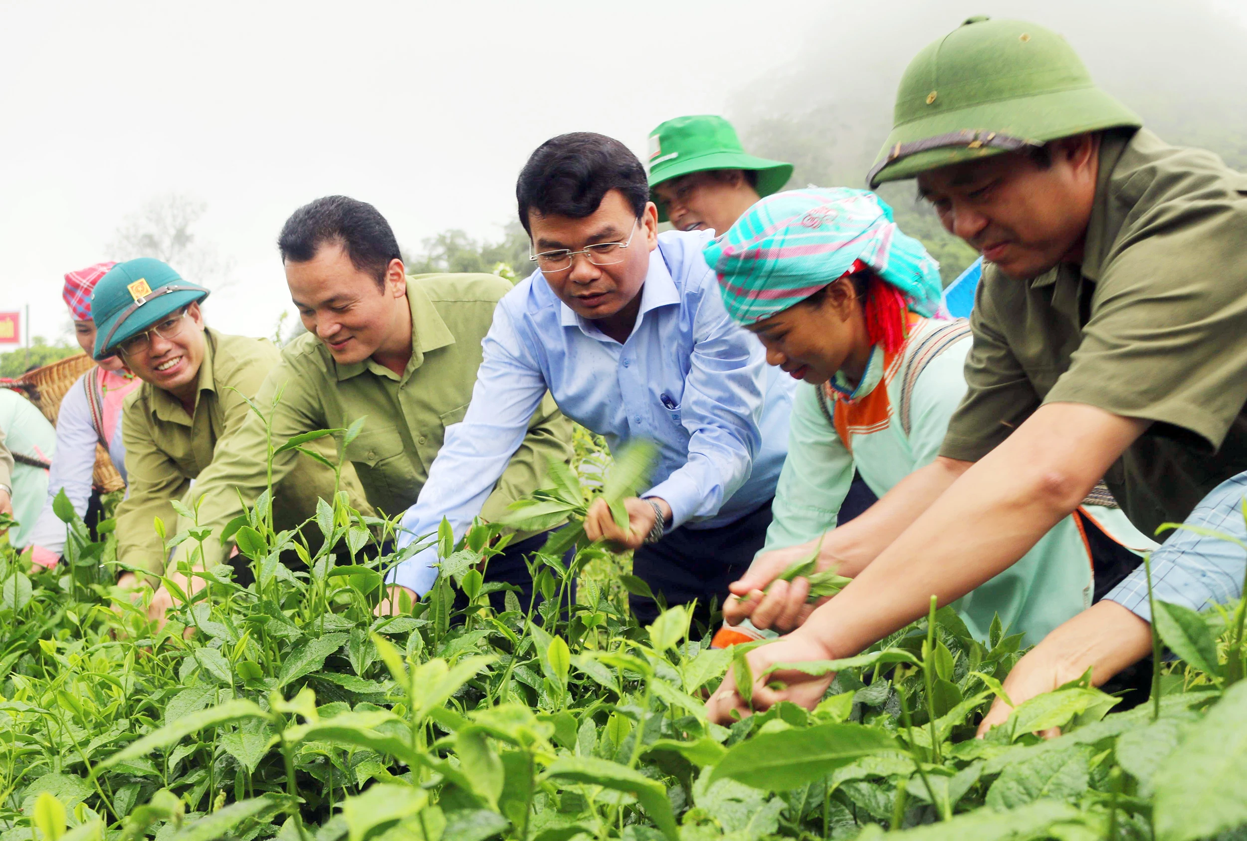 Hon-600-lao-dong-nong-thon-duoc--1695804387511.jpg