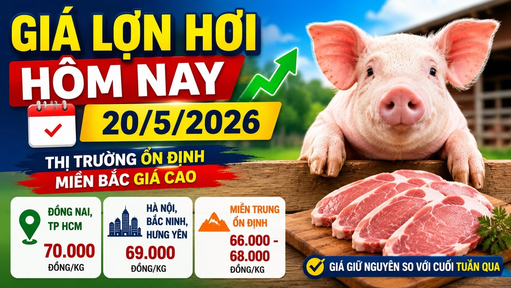 gia-lon-hoi-hom-nay-20-5-2026-9870.jpg