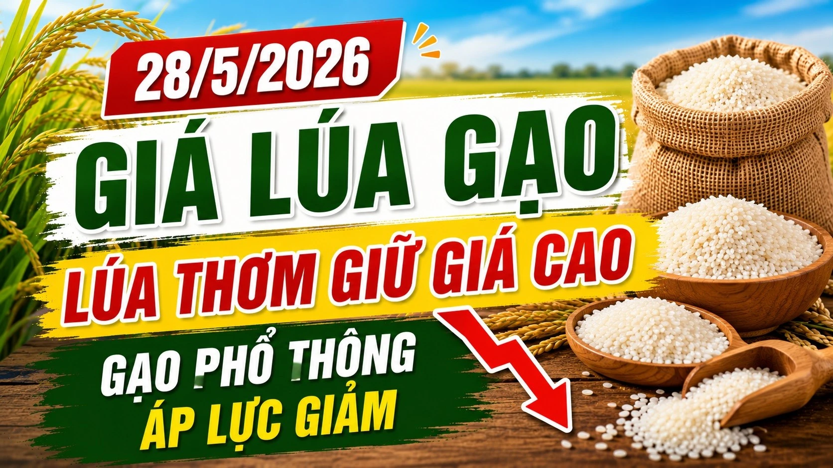 gia-lua-gao-hom-nay-28-5-2026-8471.jpg