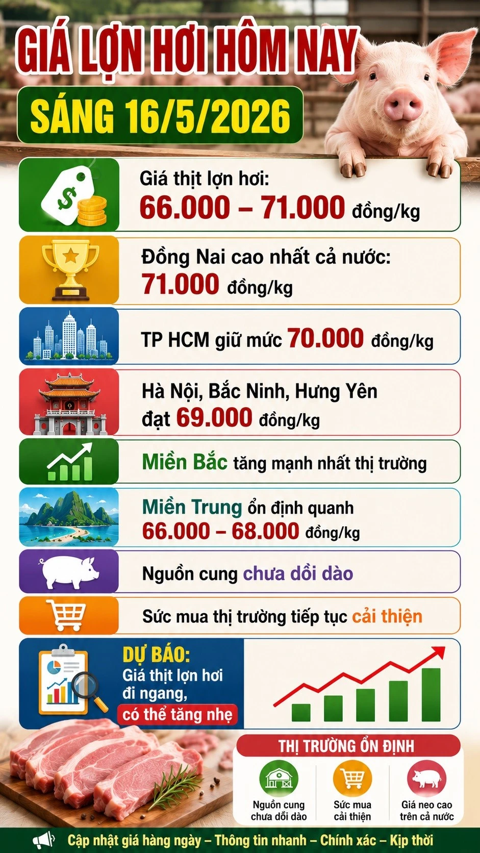 gia-thit-lon-hoi-hom-nay-16-5-2026-4053.jpg