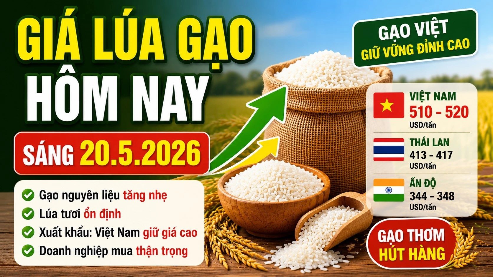 gia-lua-gao-hom-nay-20-5-2026-8673.jpg
