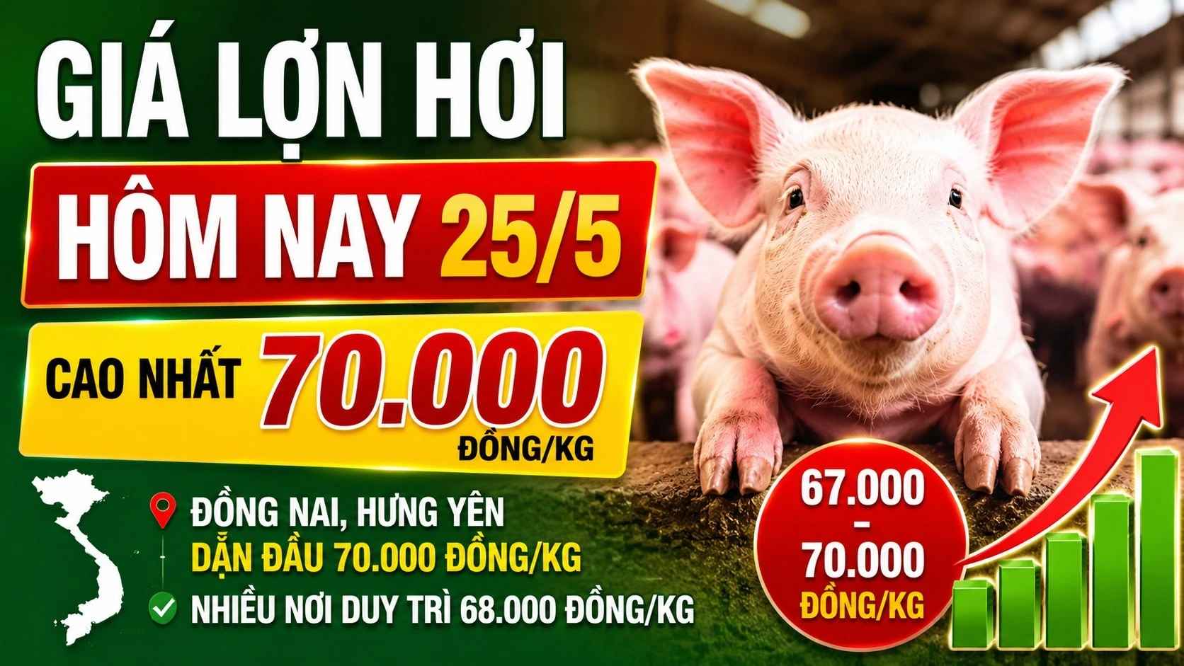 gia-lon-hoi-hom-nay-25-5-2026-4803.jpg